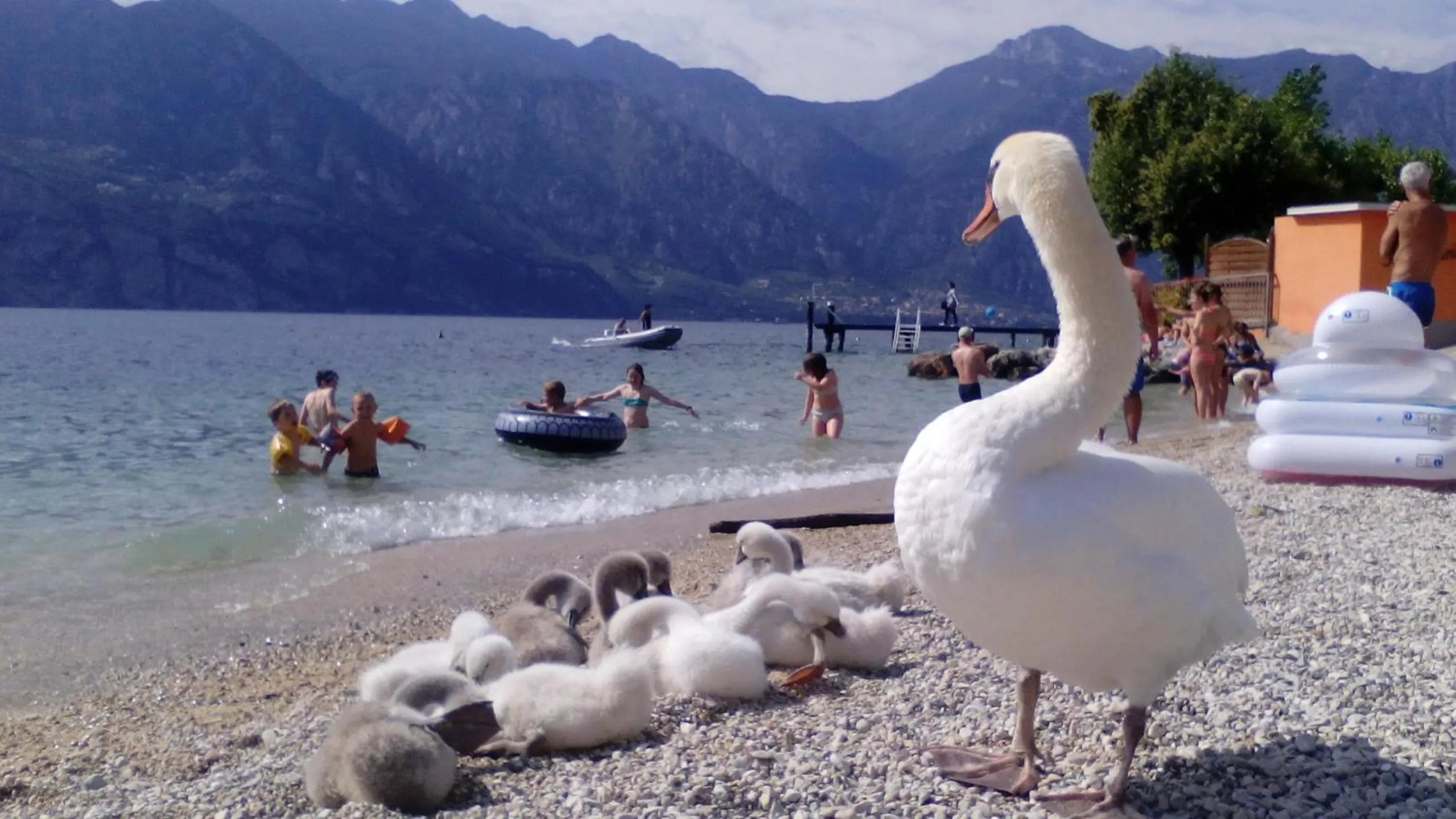 Natural landscape in Gardesana Active Apartments