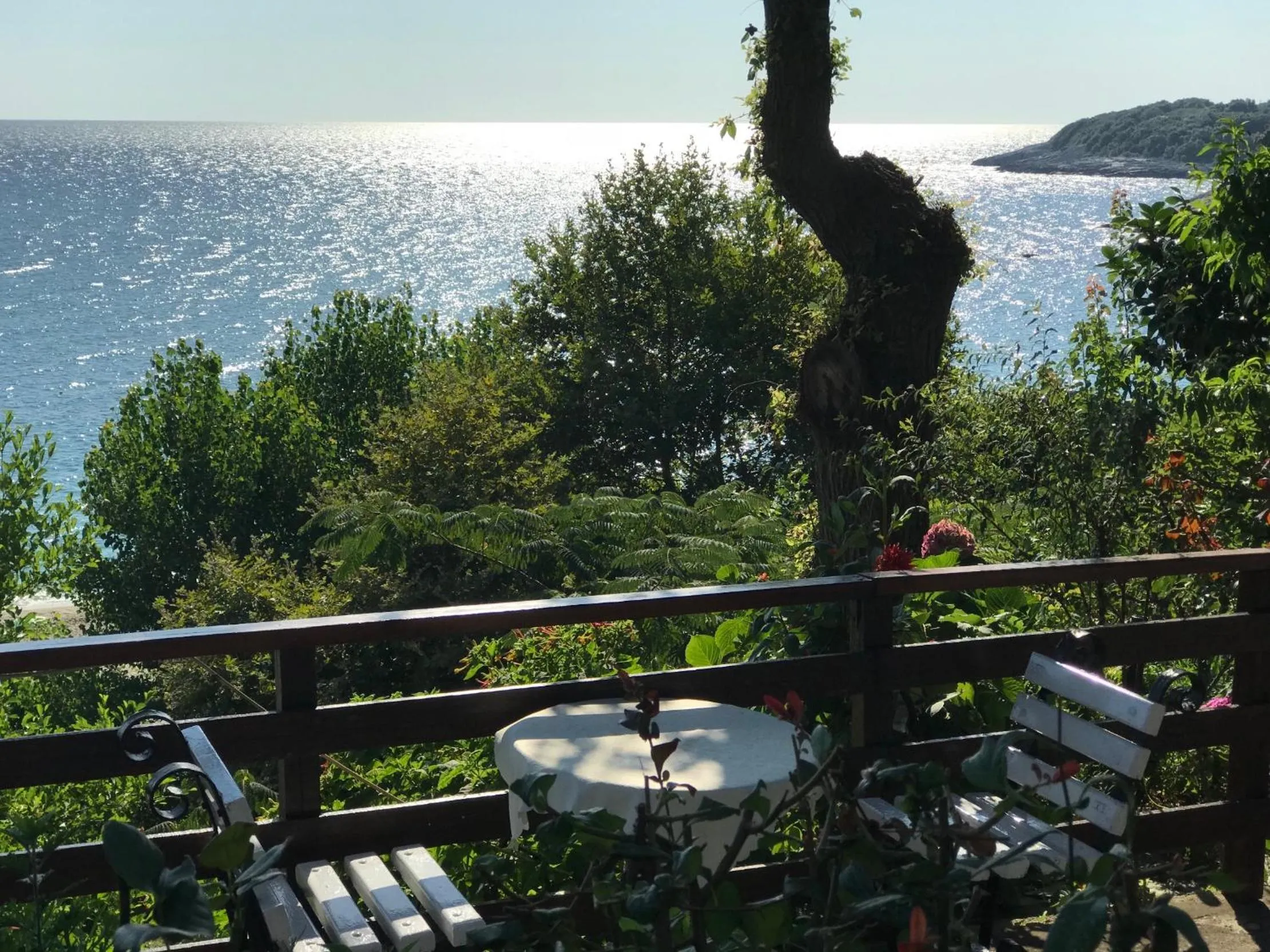 Living room in Appartments Zoe