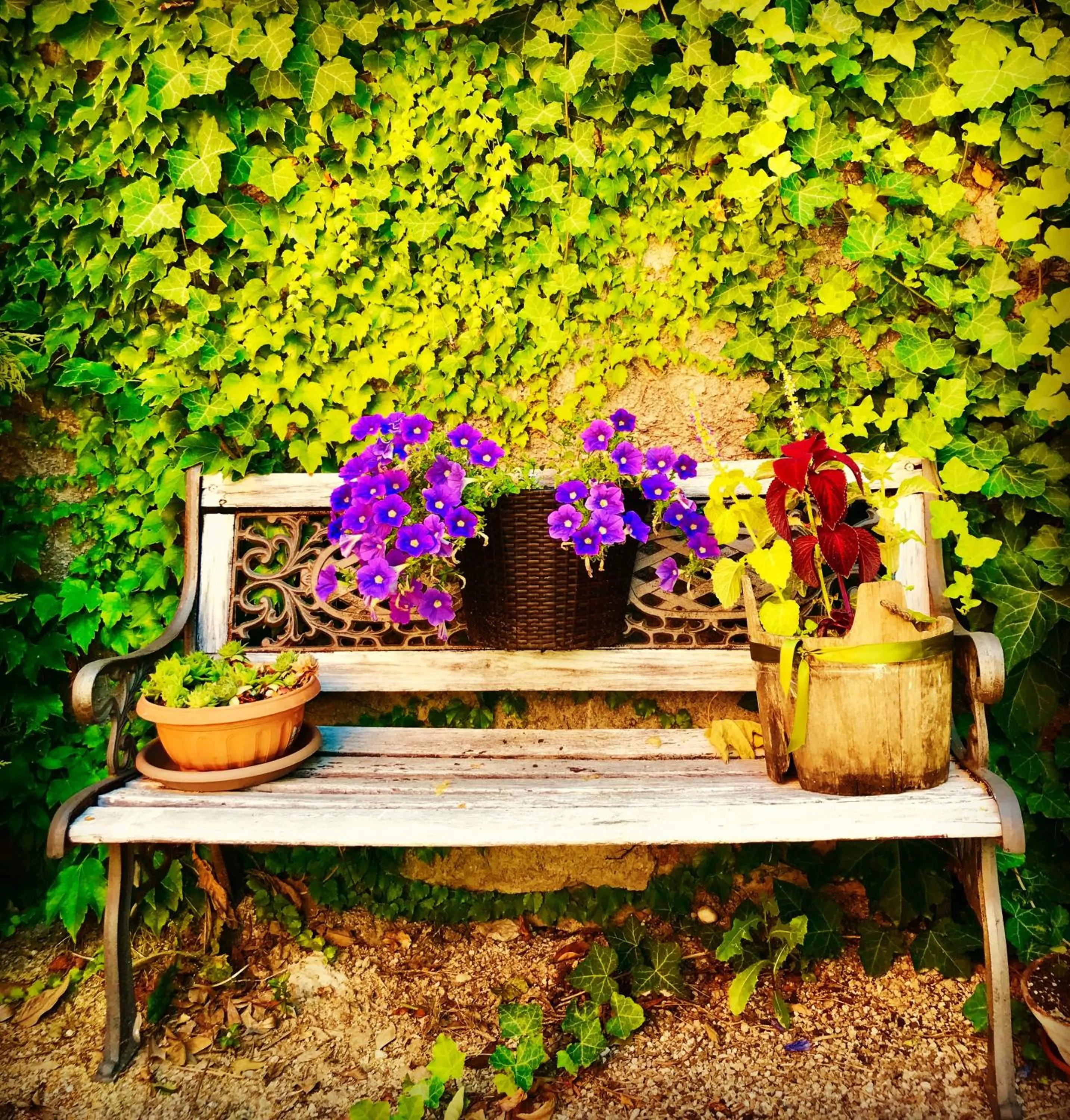 Garden in Boutique Hotel Corte Malaspina