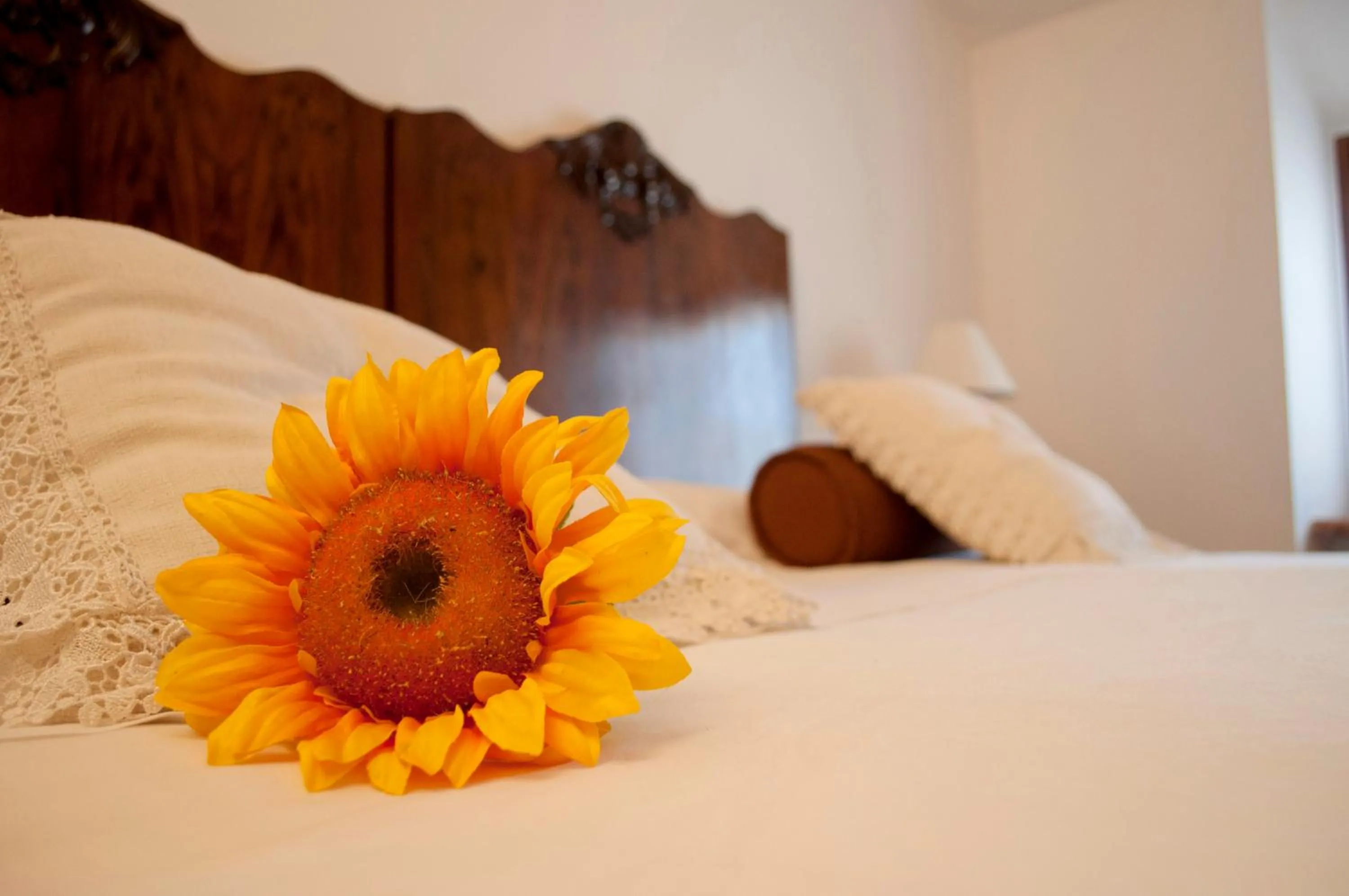Decorative detail, Bed in Boutique Hotel Corte Malaspina