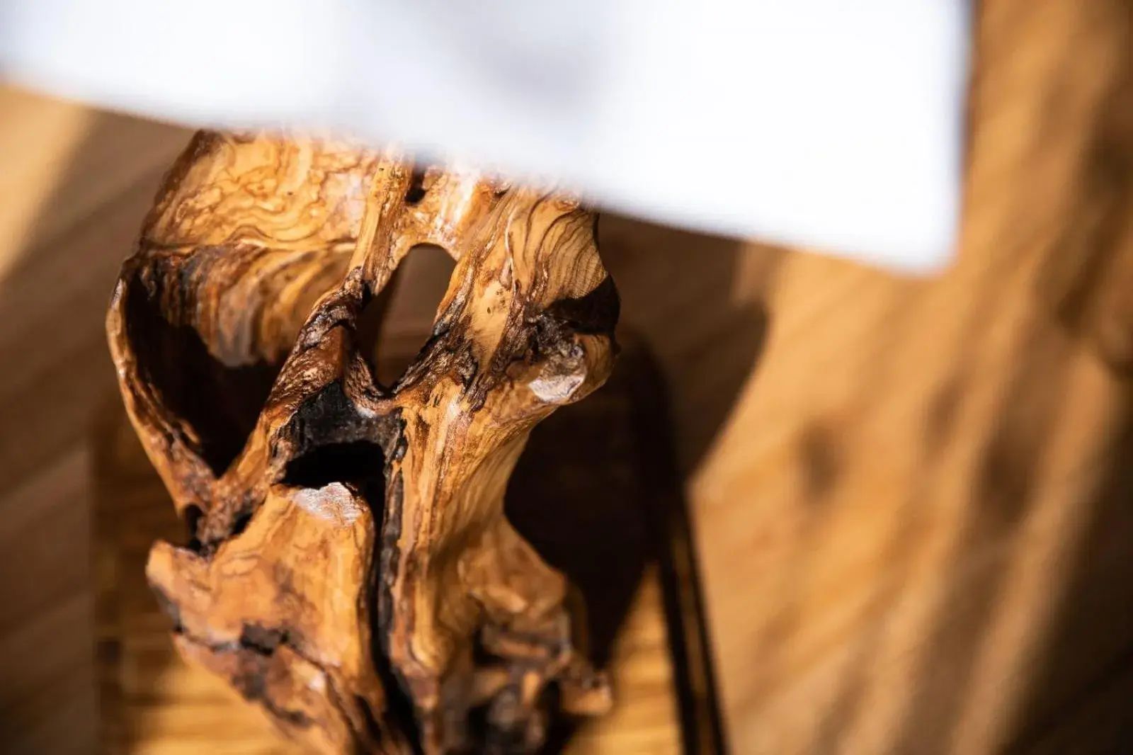 B&B Antares B&B Antares