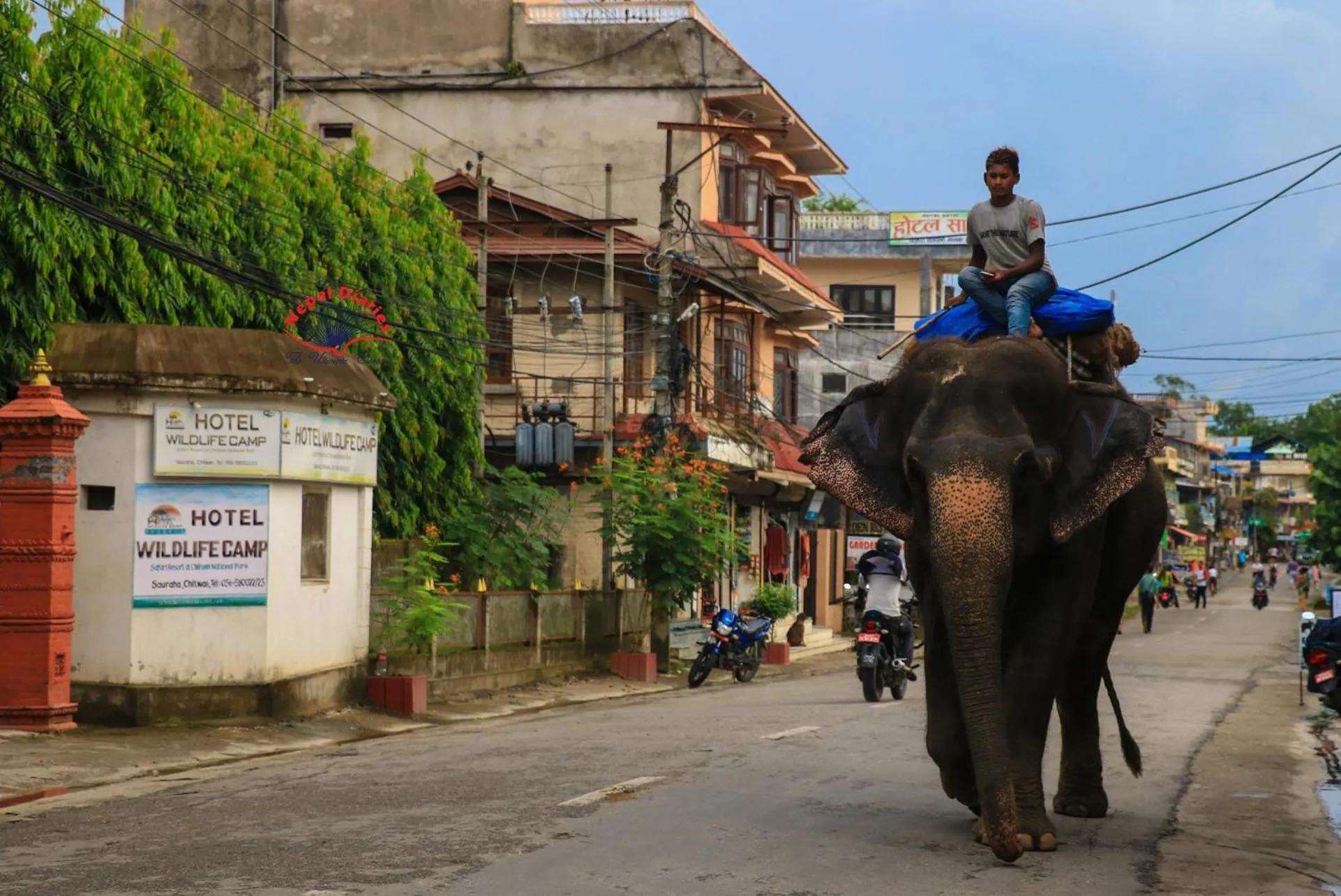 Property building in Hotel Wildlife Camp