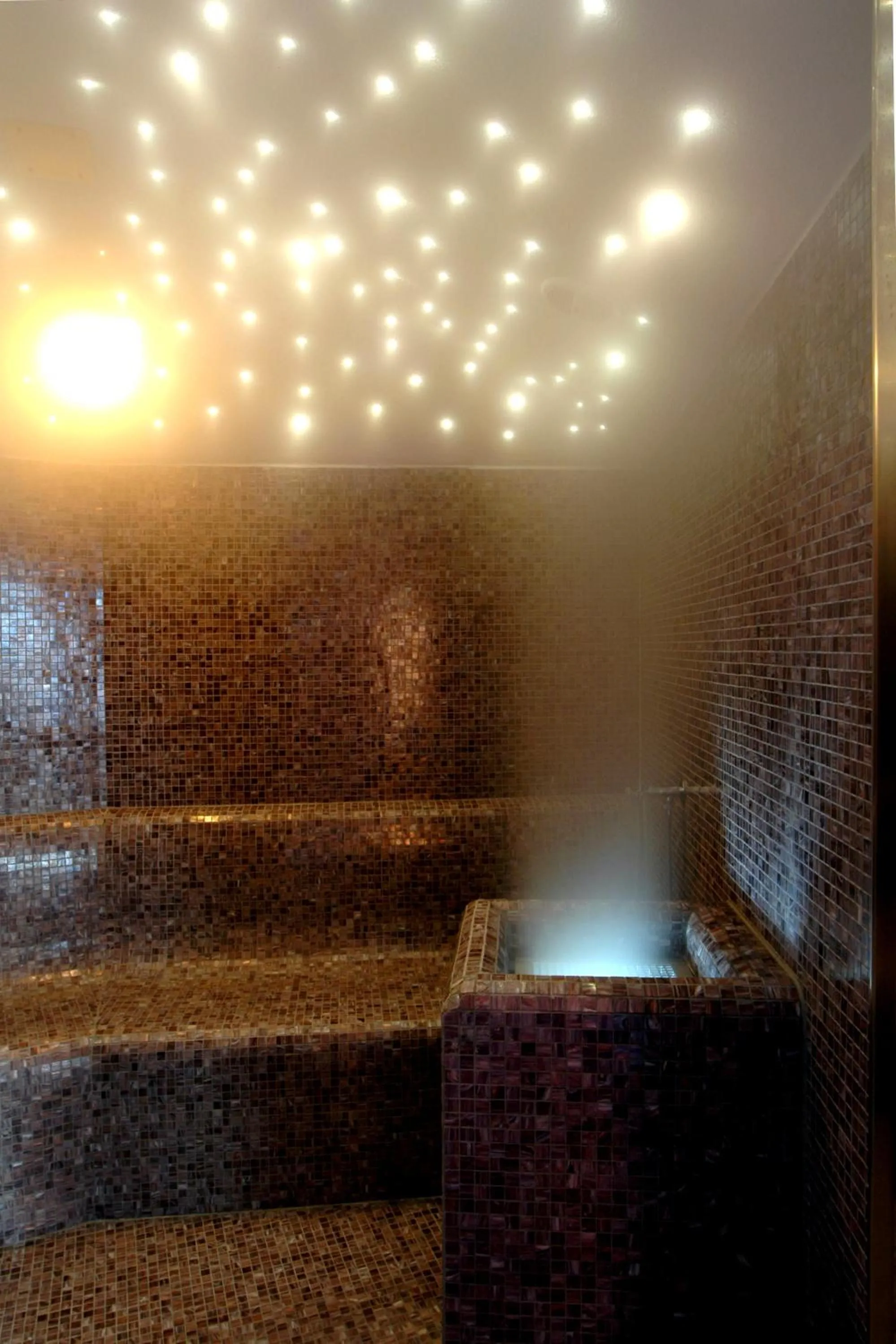 Spa and wellness centre/facilities in Hotel Globus, Sure Hotel Collection by Best Western