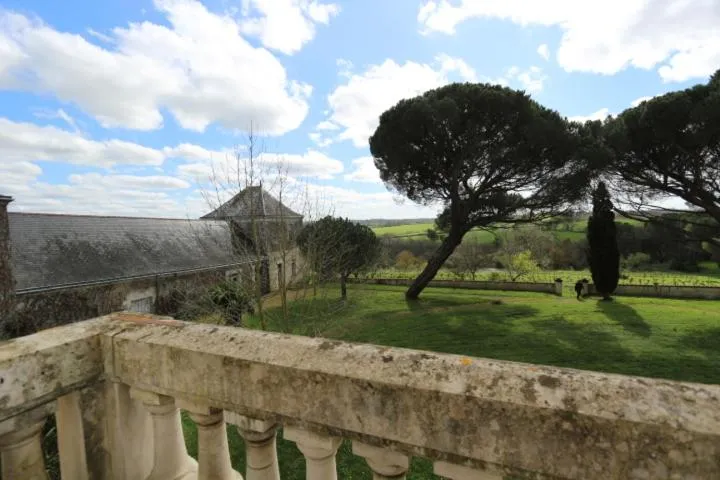 Garden view in Vignoble Château Piéguë - winery