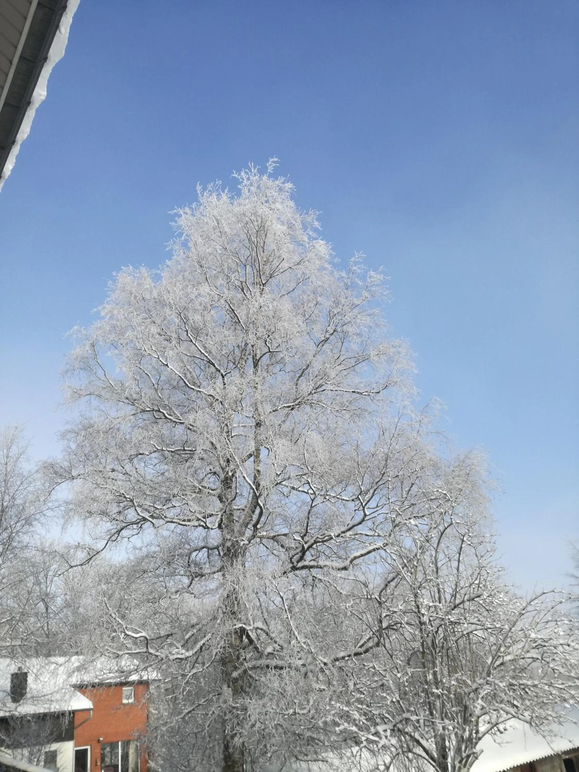 Natural landscape in A La Reid Paisible