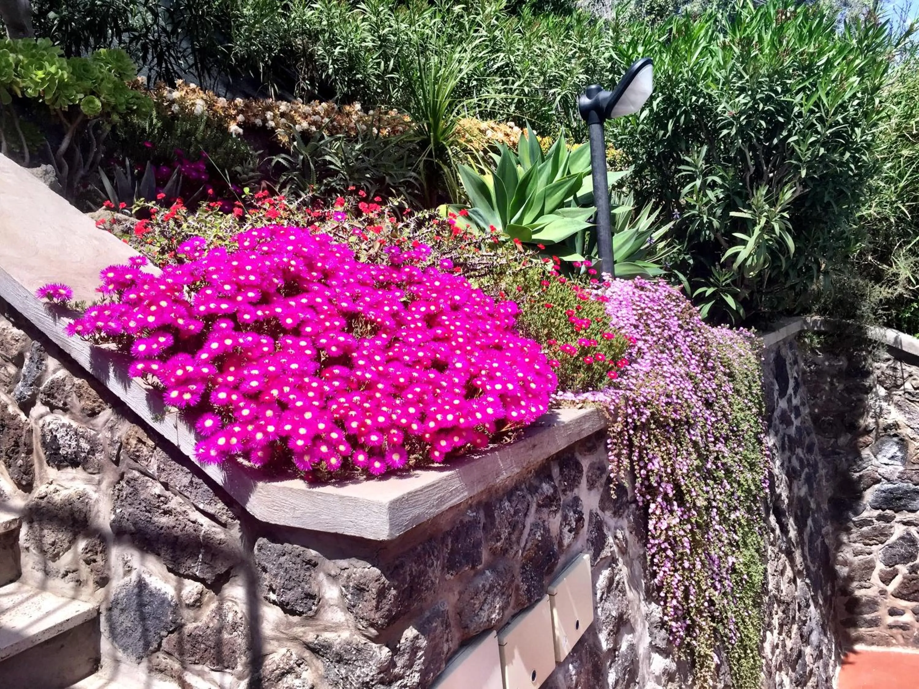 Garden in Don Felipe Boutique Hotel
