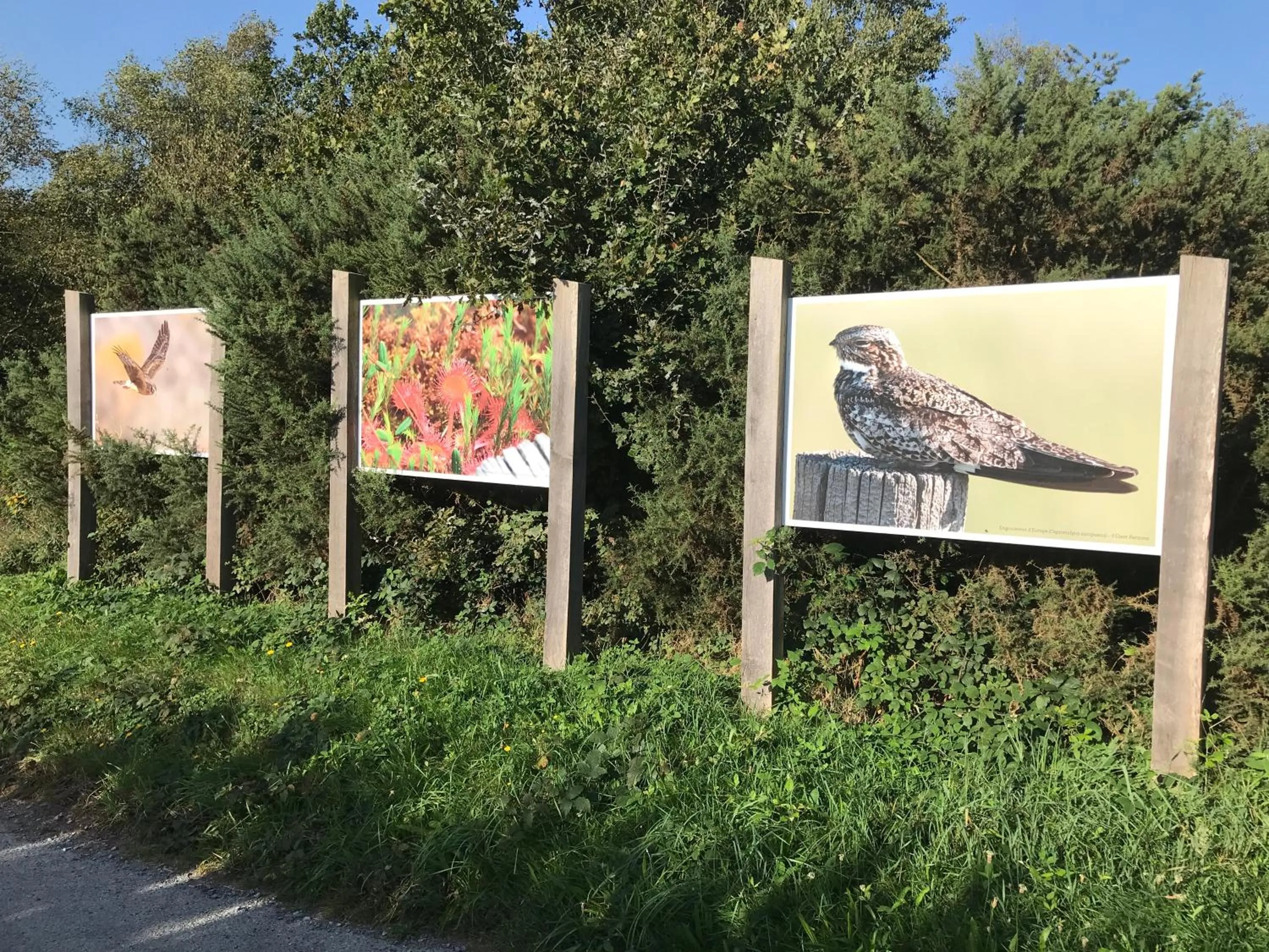 Cottage Les Glycines