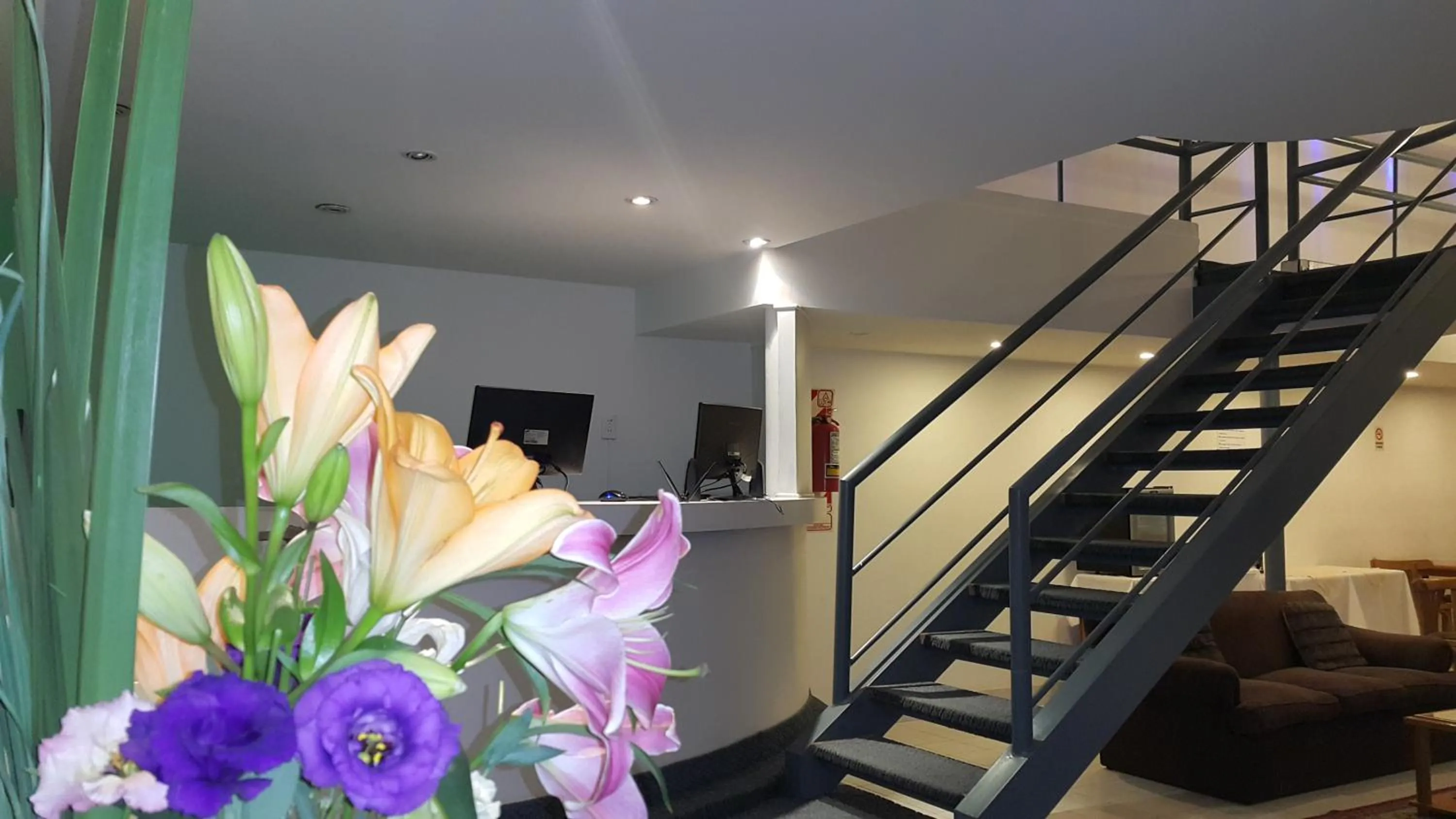 Area and facilities in Hotel Avenida