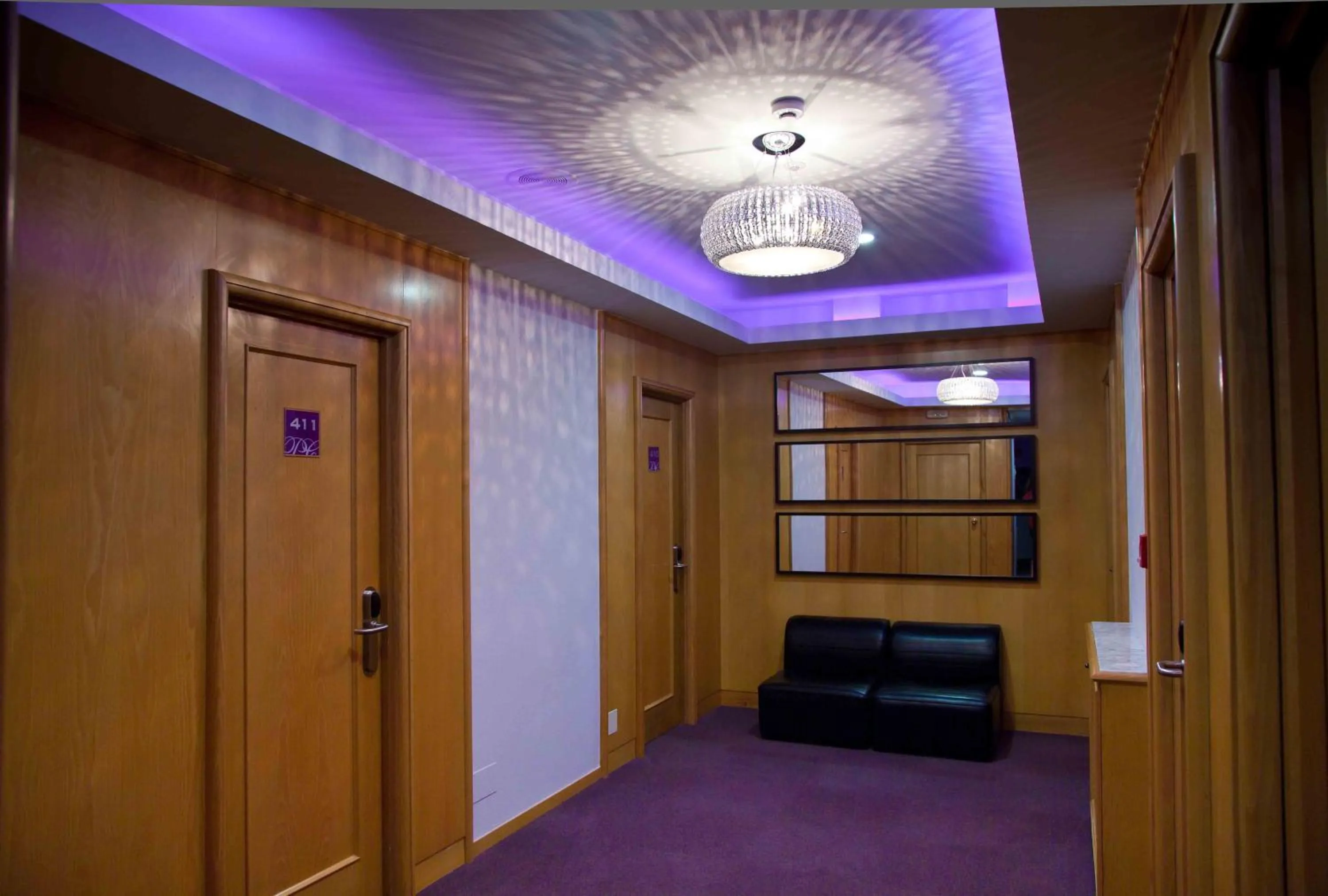 Communal lounge/ TV room in Hotel Palacio de Cristal