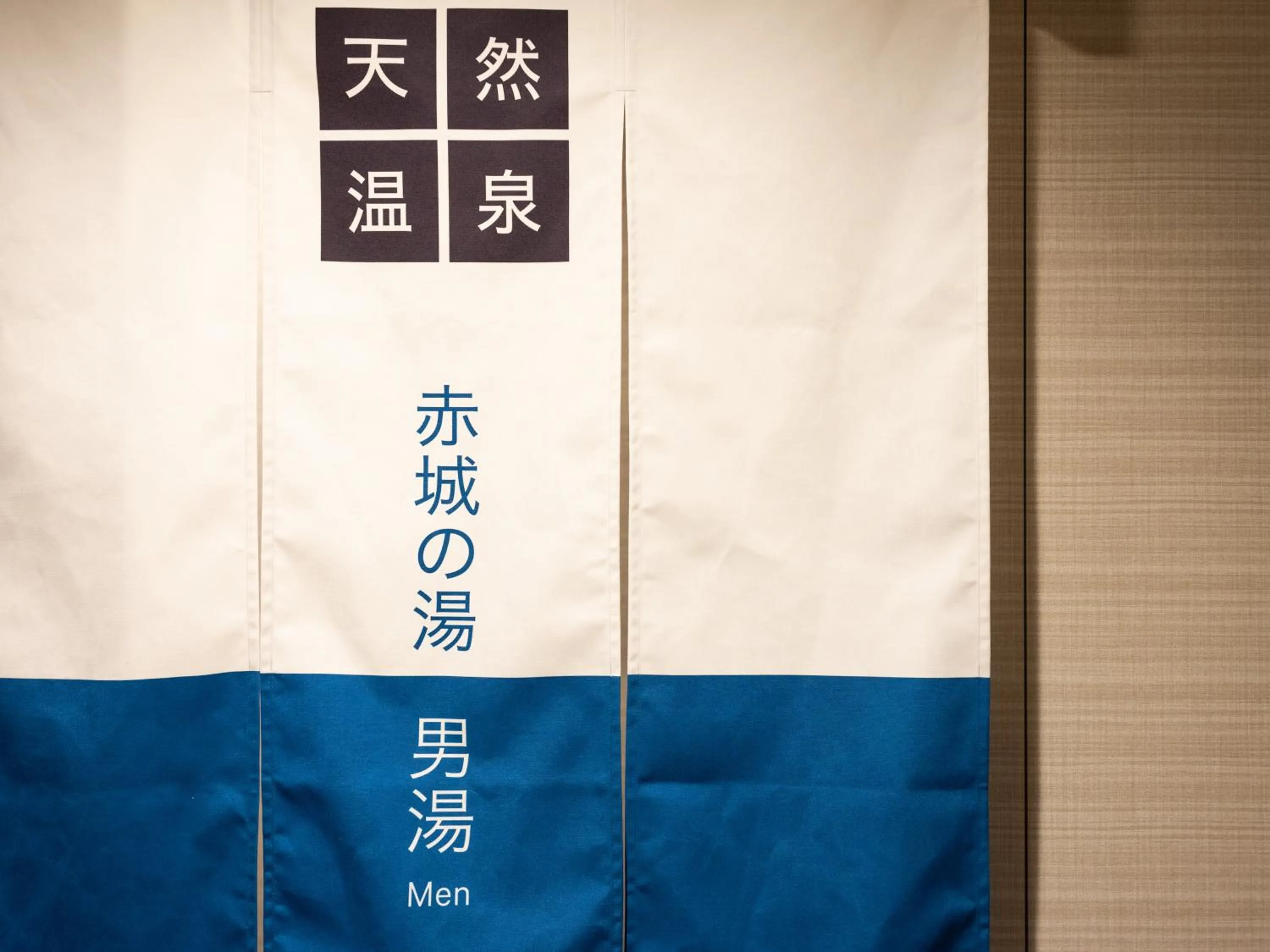 Hot Spring Bath in Super Hotel Saitama Kawagoe