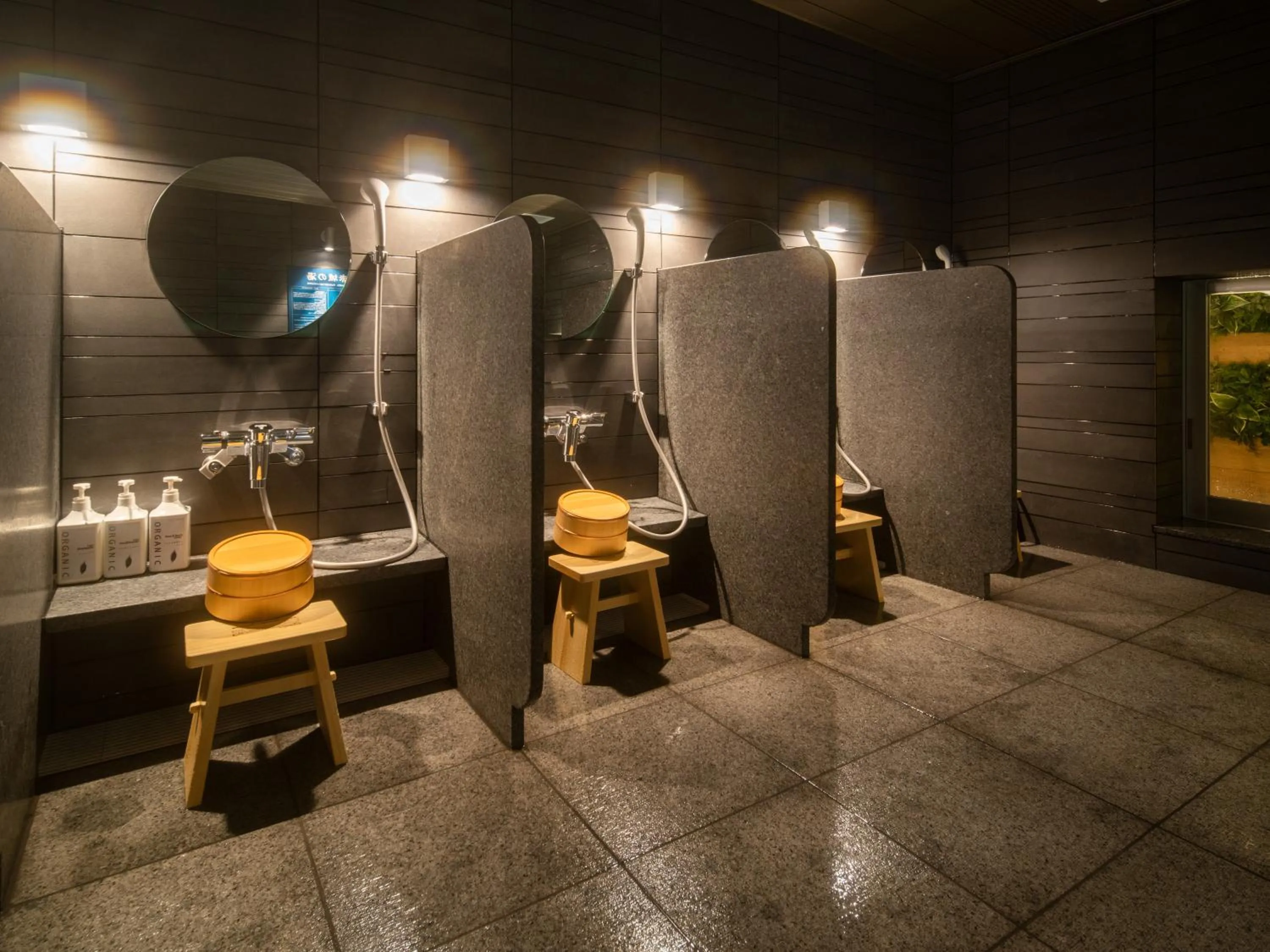 Hot Spring Bath in Super Hotel Saitama Kawagoe