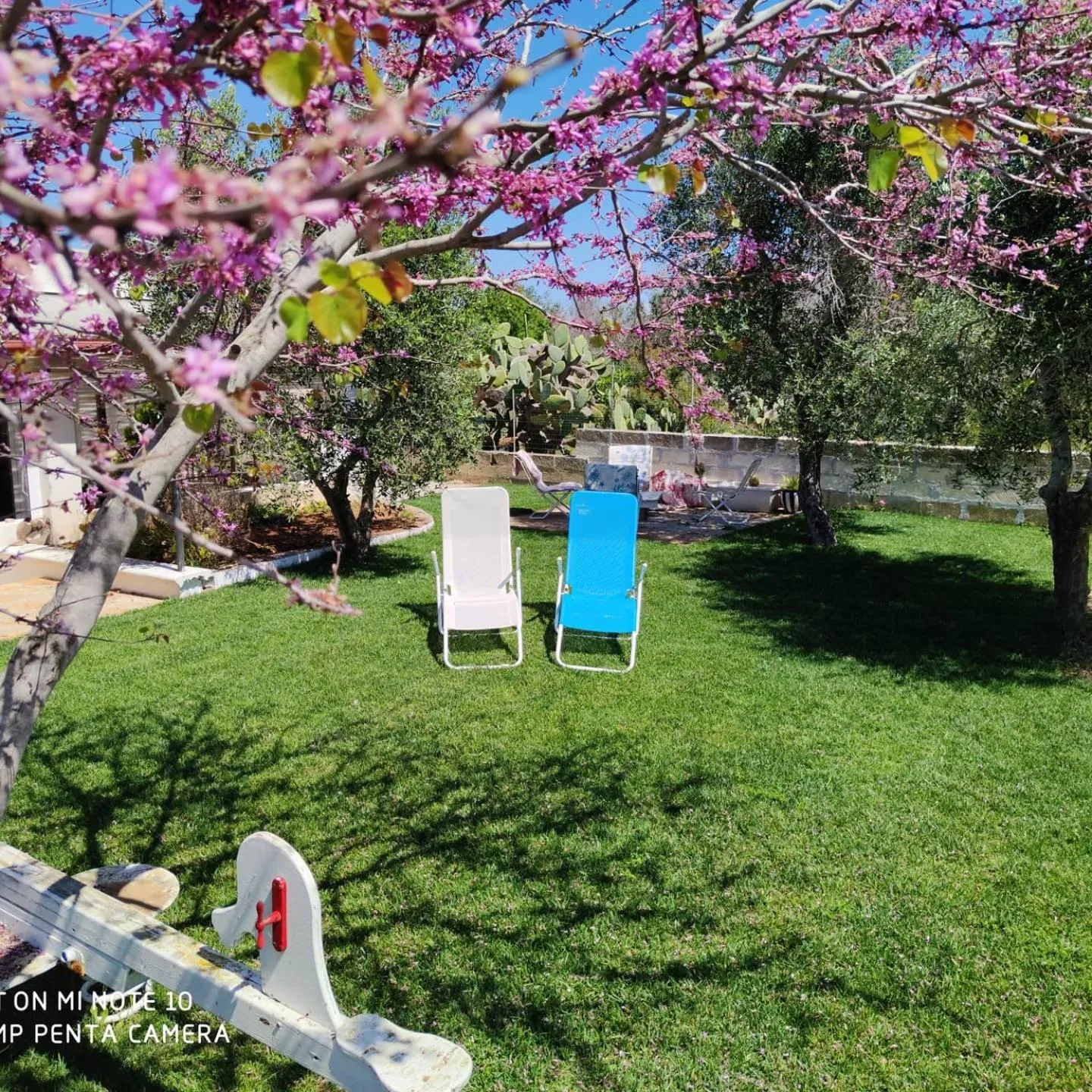 Stella del Sud Guesthouse