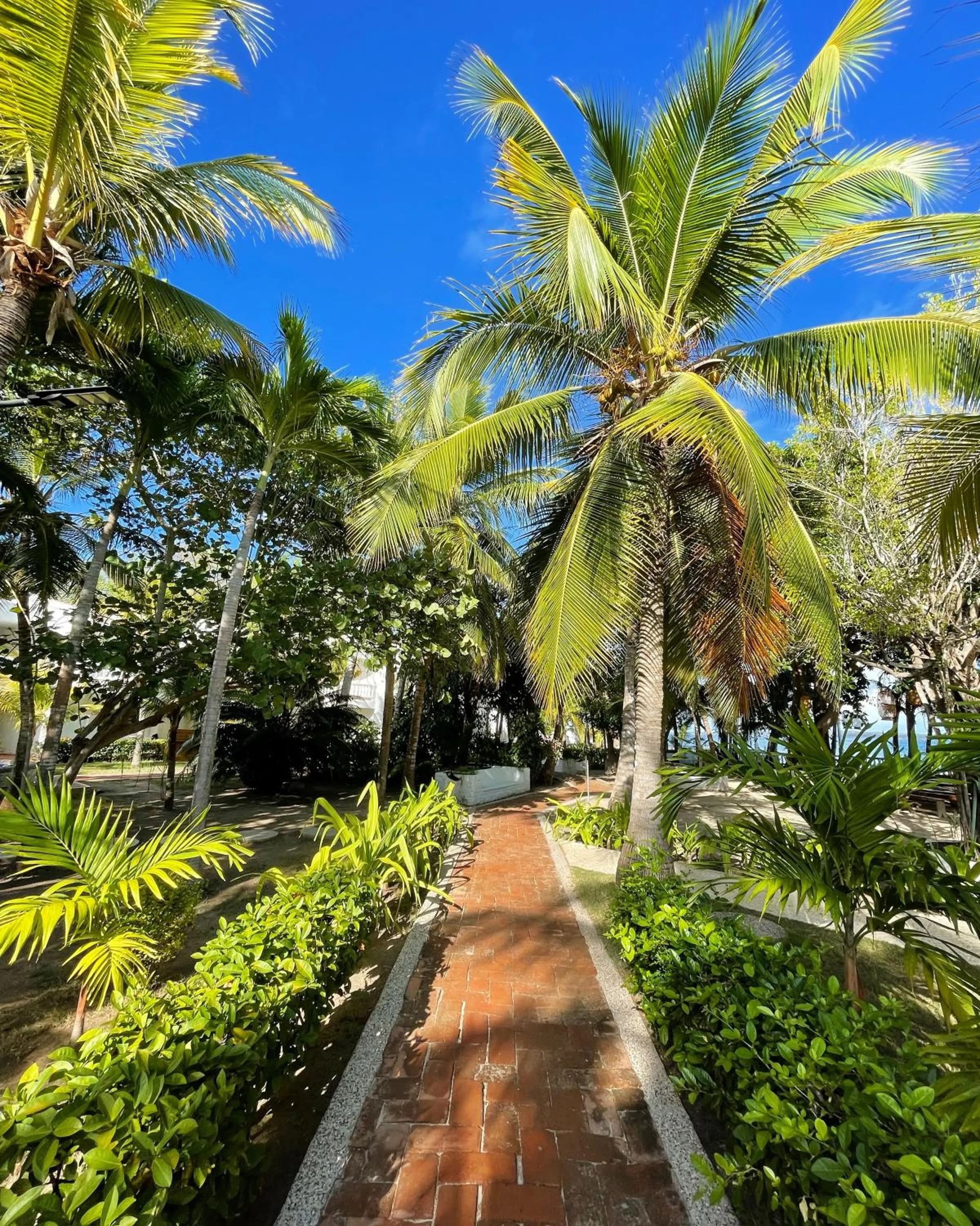 Day in Hotel Cocoliso Island Resort