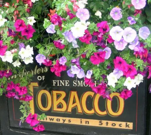 Decorative detail in O'Neills Victorian Pub & Townhouse