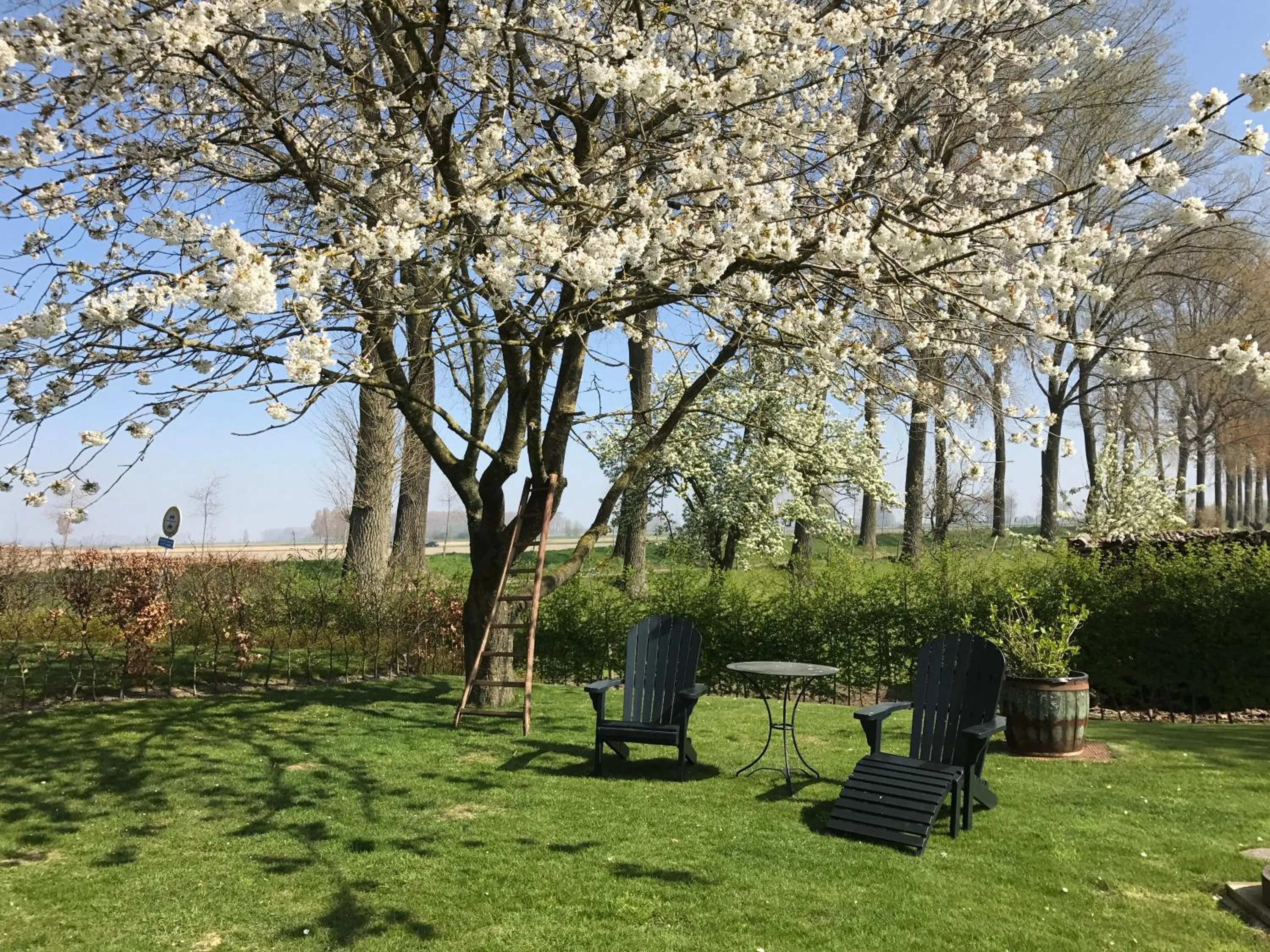 Garden in De Zonnebrug Dijkhoeve