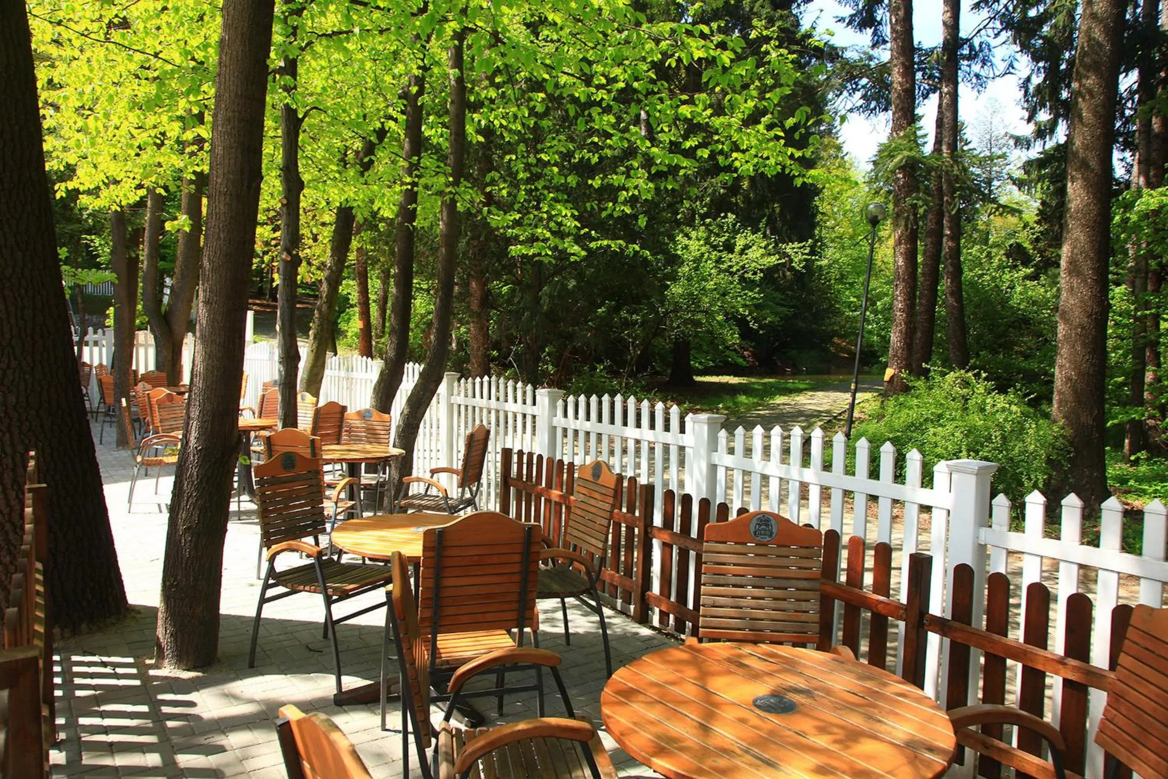 Area and facilities in Hotel Camelot