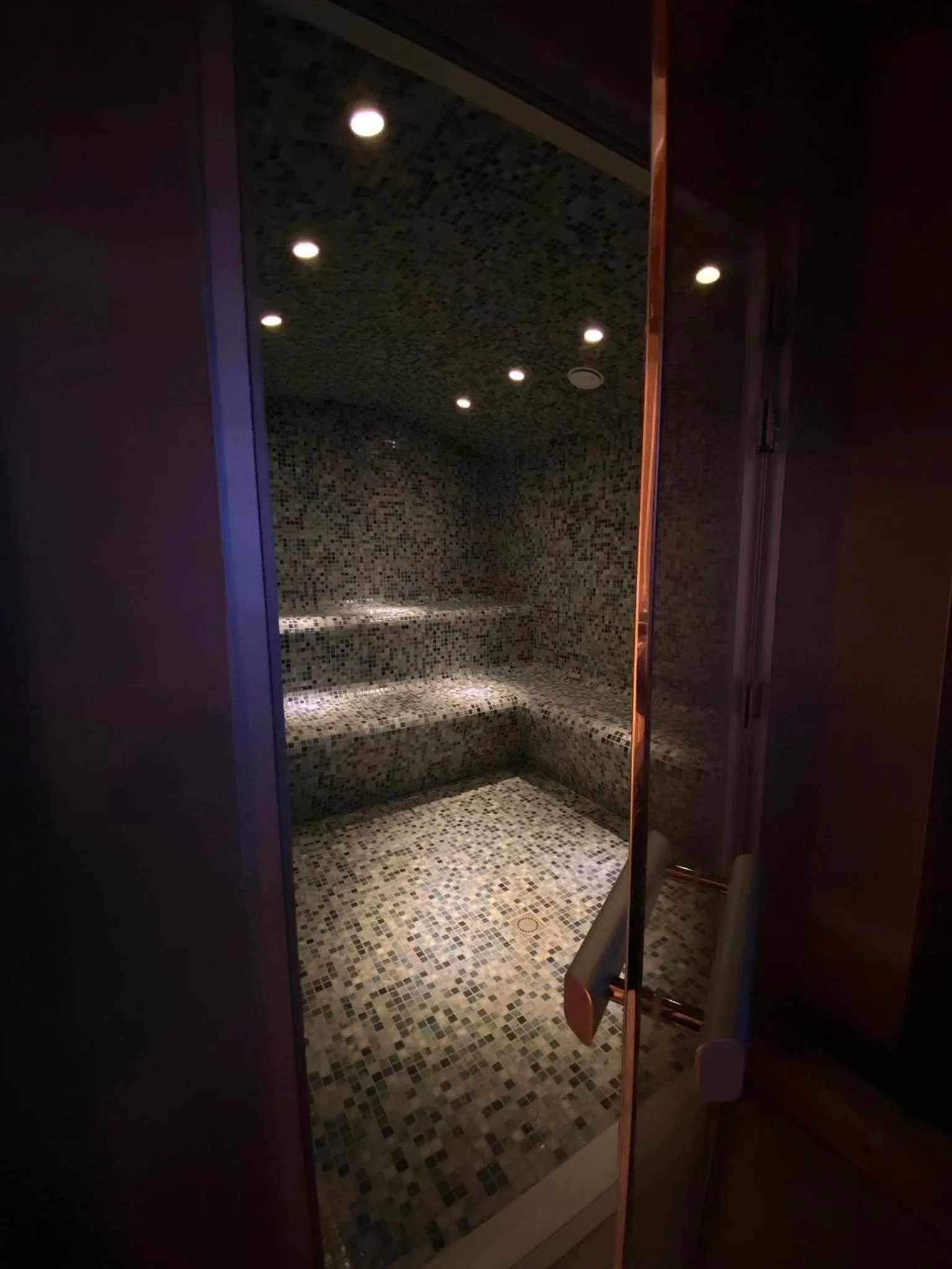 Steam room in Hôtel Aalborg