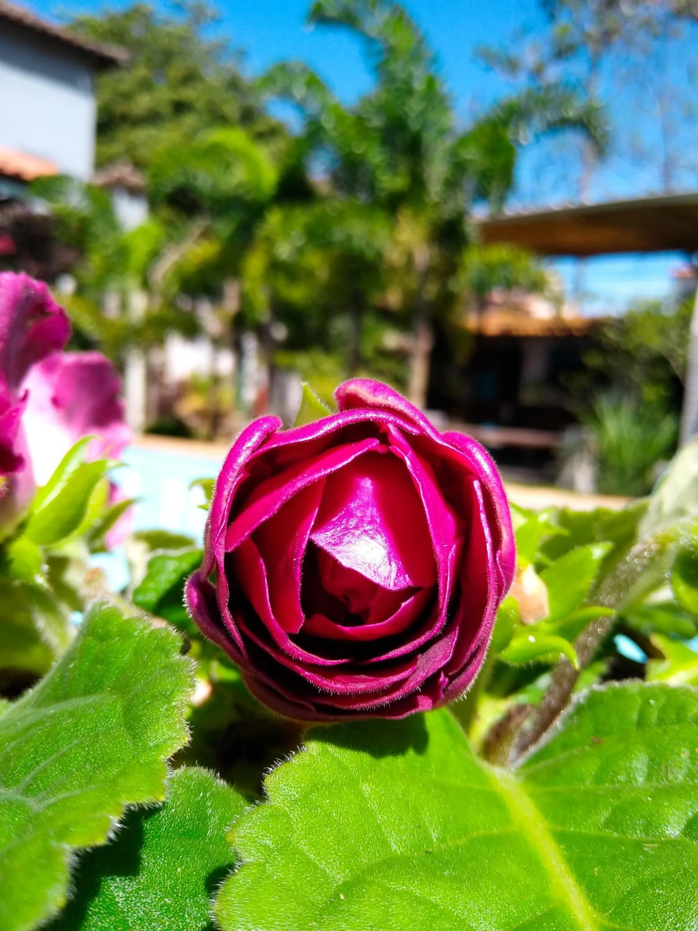 Jardim Secreto Guest House