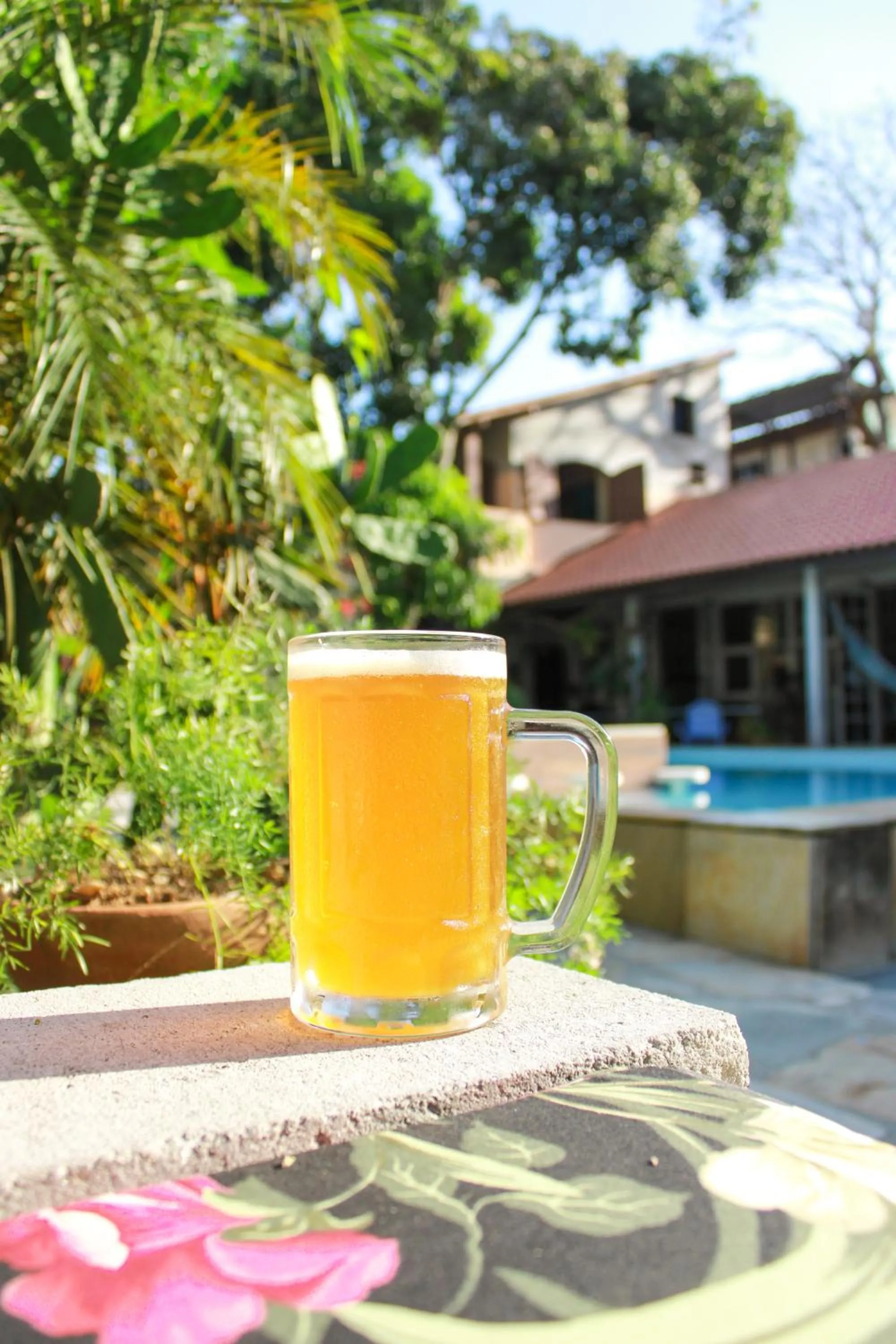 Jardim Secreto Guest House