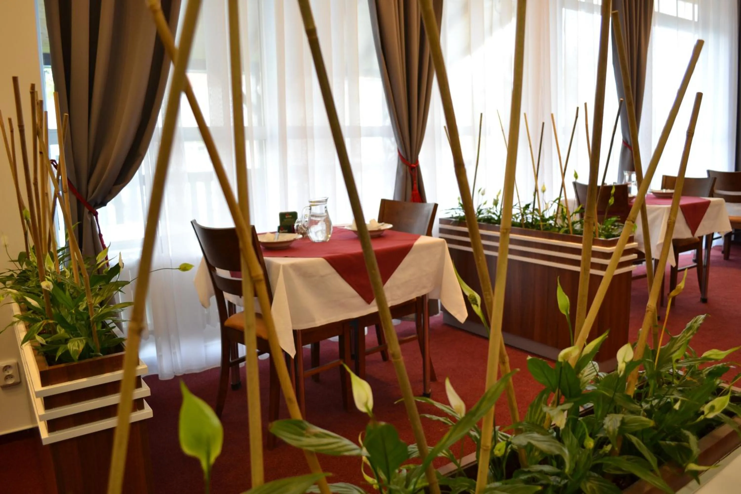 Restaurant/places to eat in Hotel Arkáda