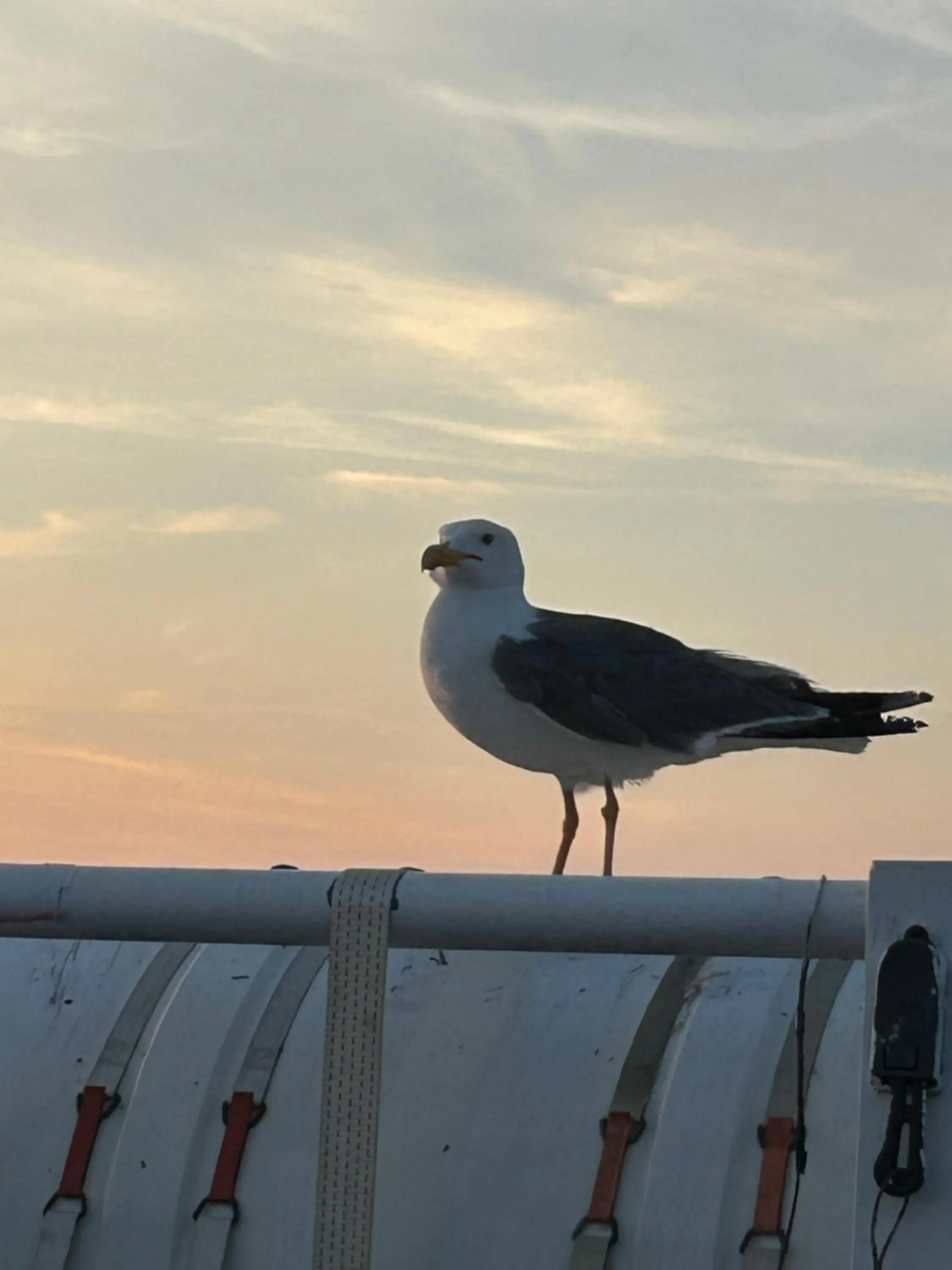 Property building in Hotel Palma