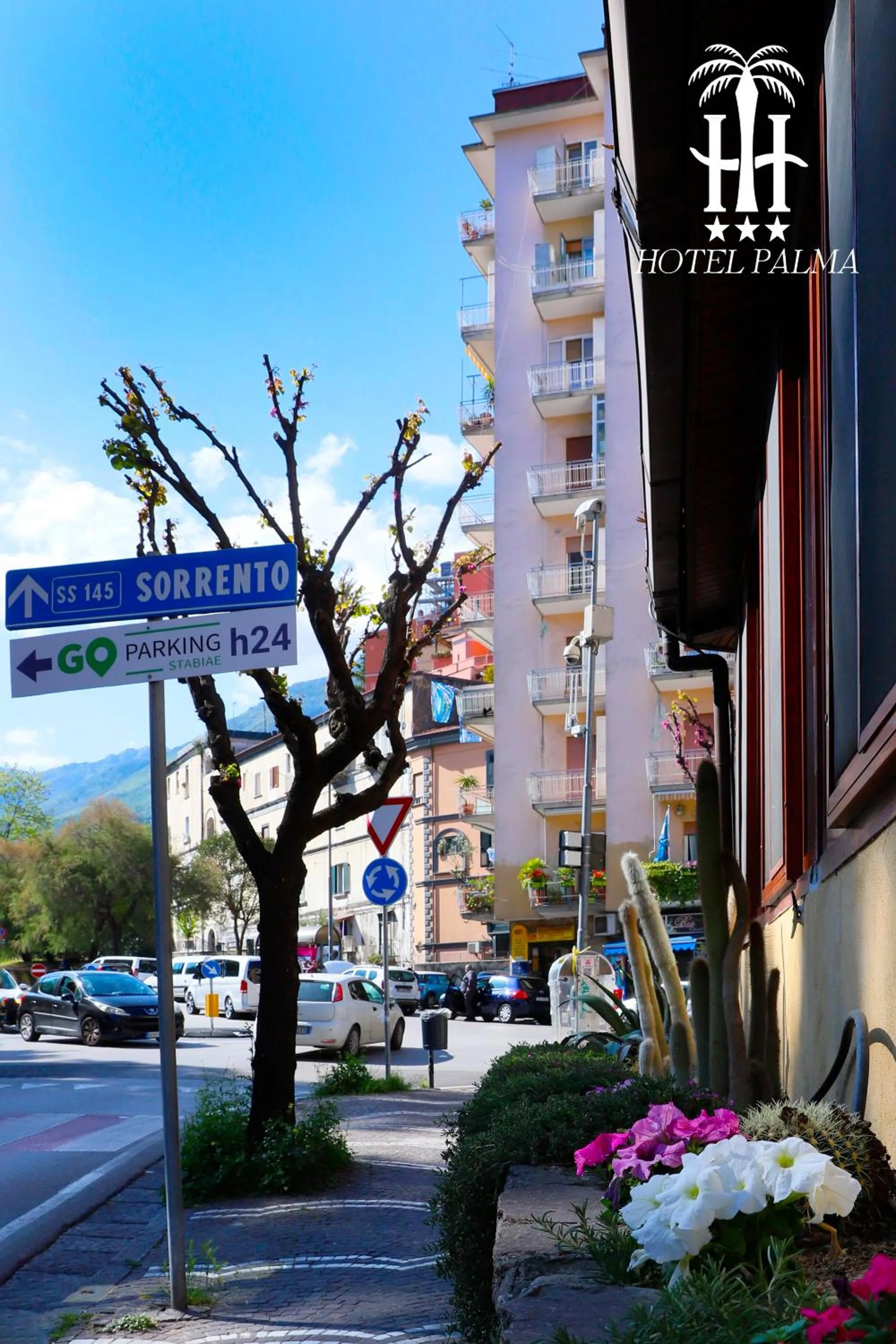 Property building in Hotel Palma