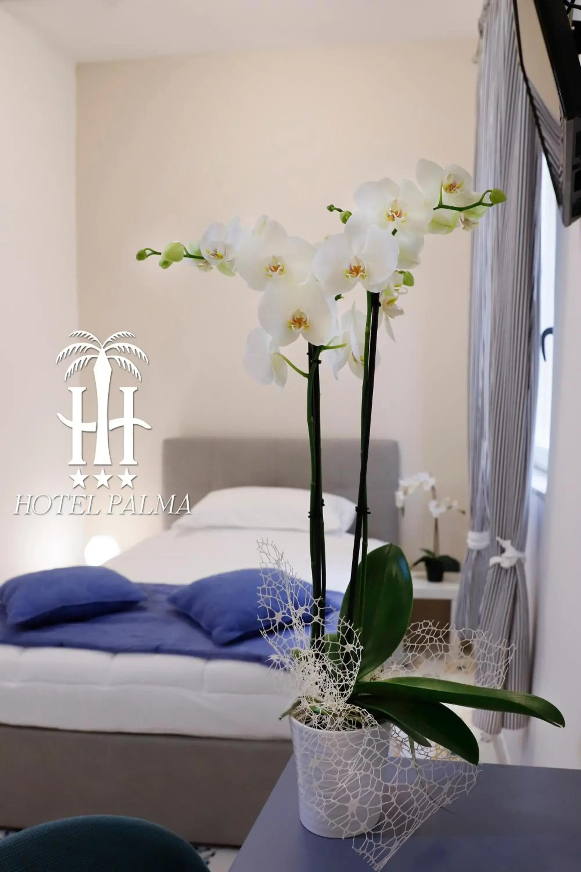 Large Single Room in Hotel Palma Large Single Room in Hotel Palma