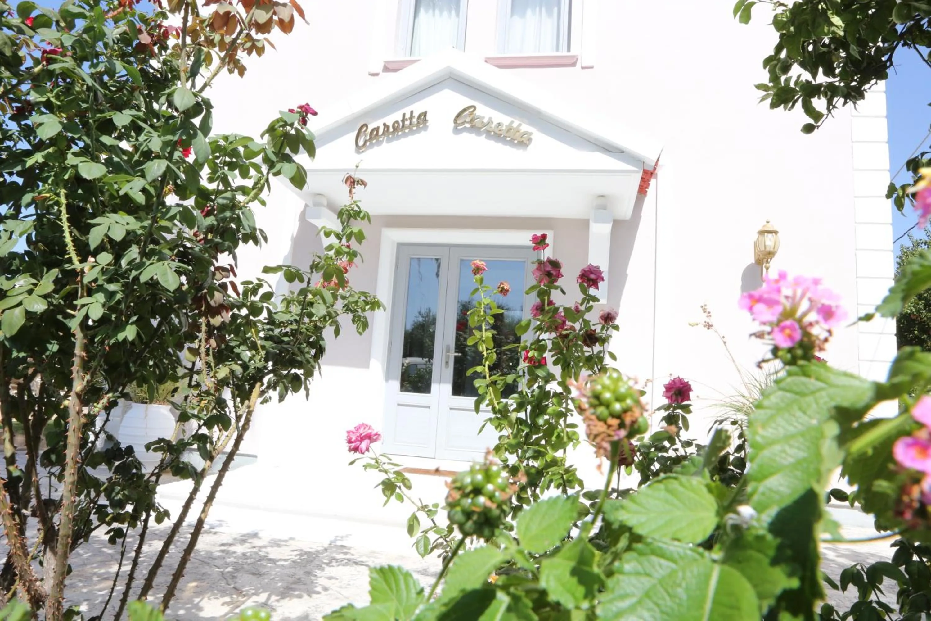 Property building in Caretta - Caretta Hotel