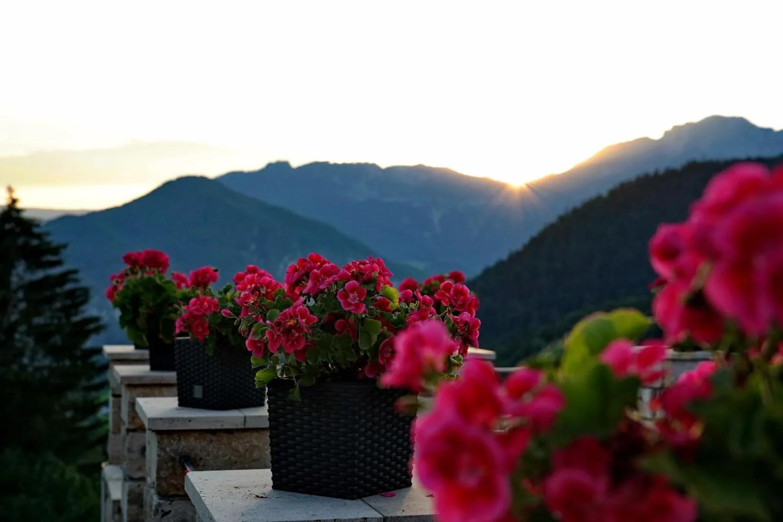 Natural landscape in SPA Hotel "Villa Bello"