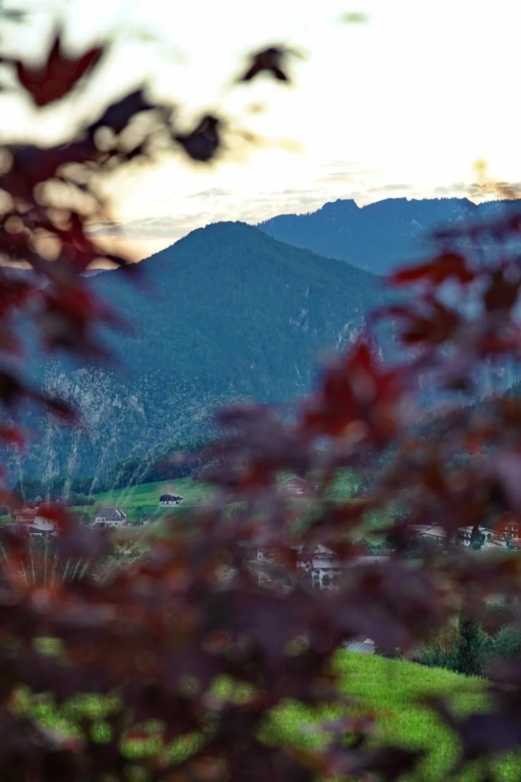 Natural landscape in SPA Hotel "Villa Bello"