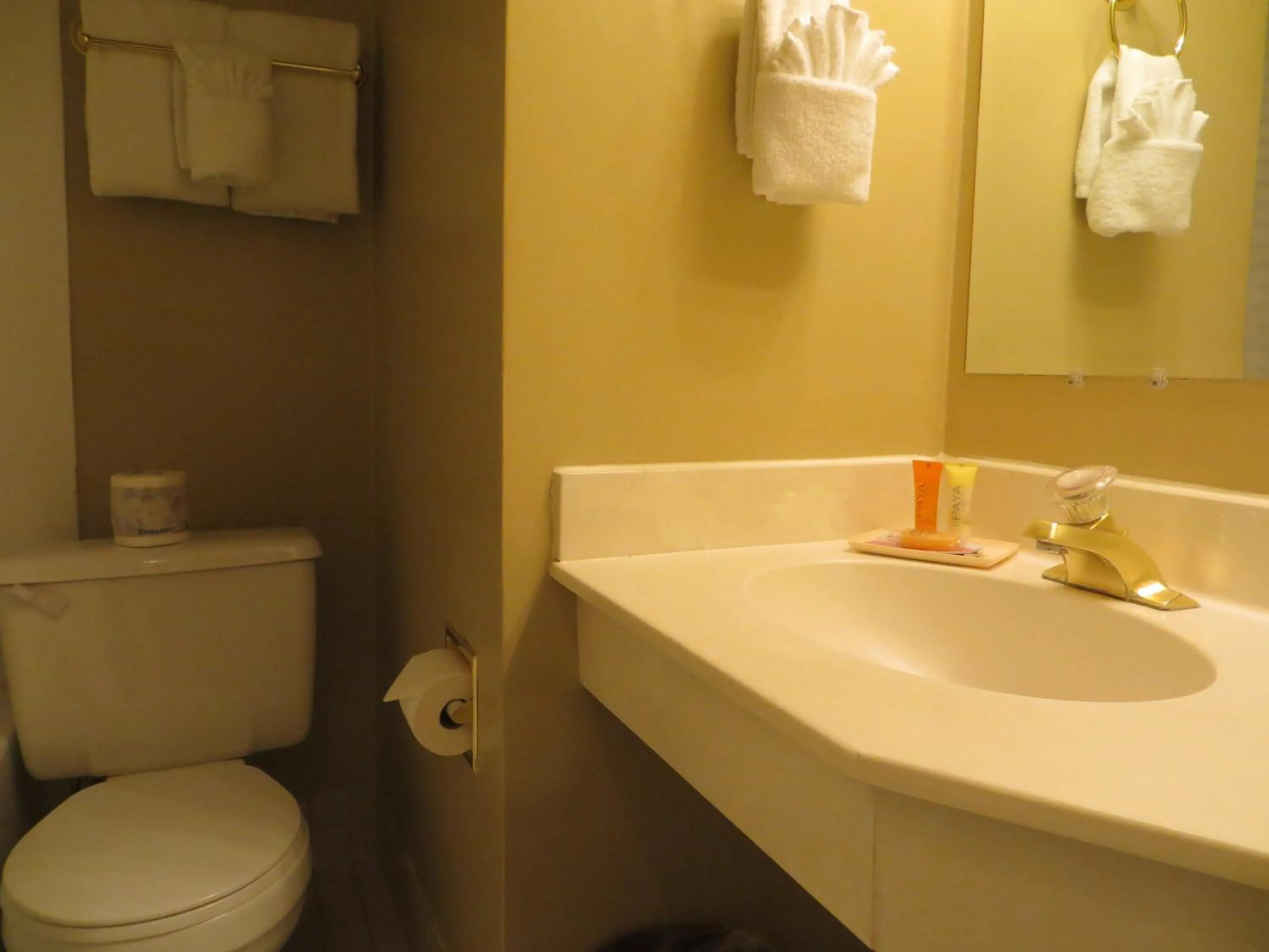 Bathroom in Athabasca Hotel