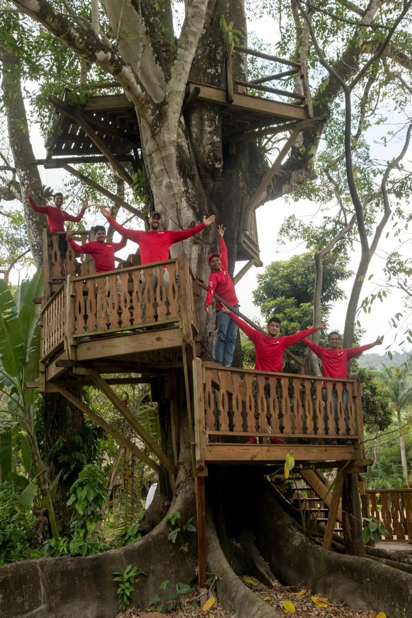 Activities in Bocawina Rainforest Resort