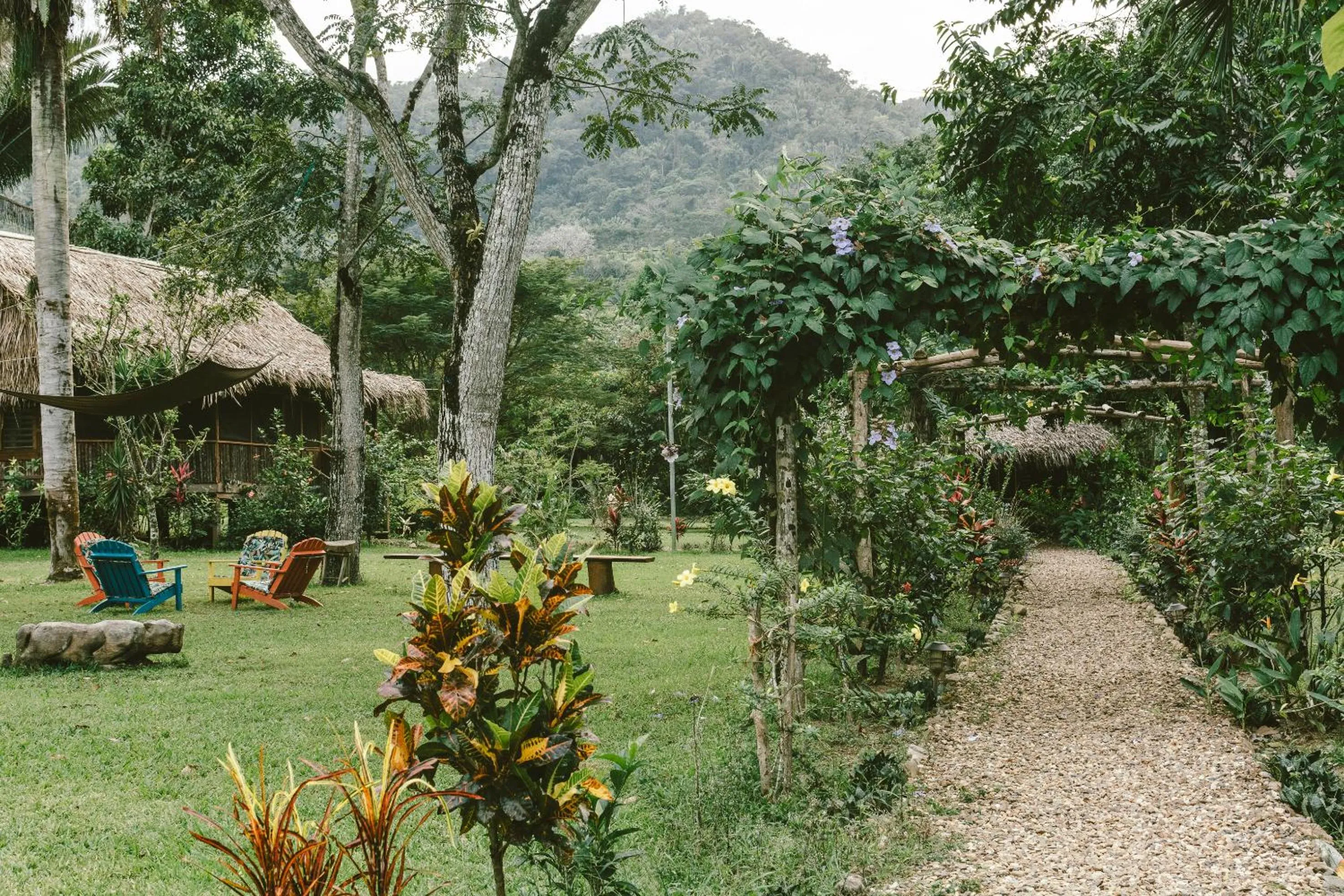 Property building in Bocawina Rainforest Resort