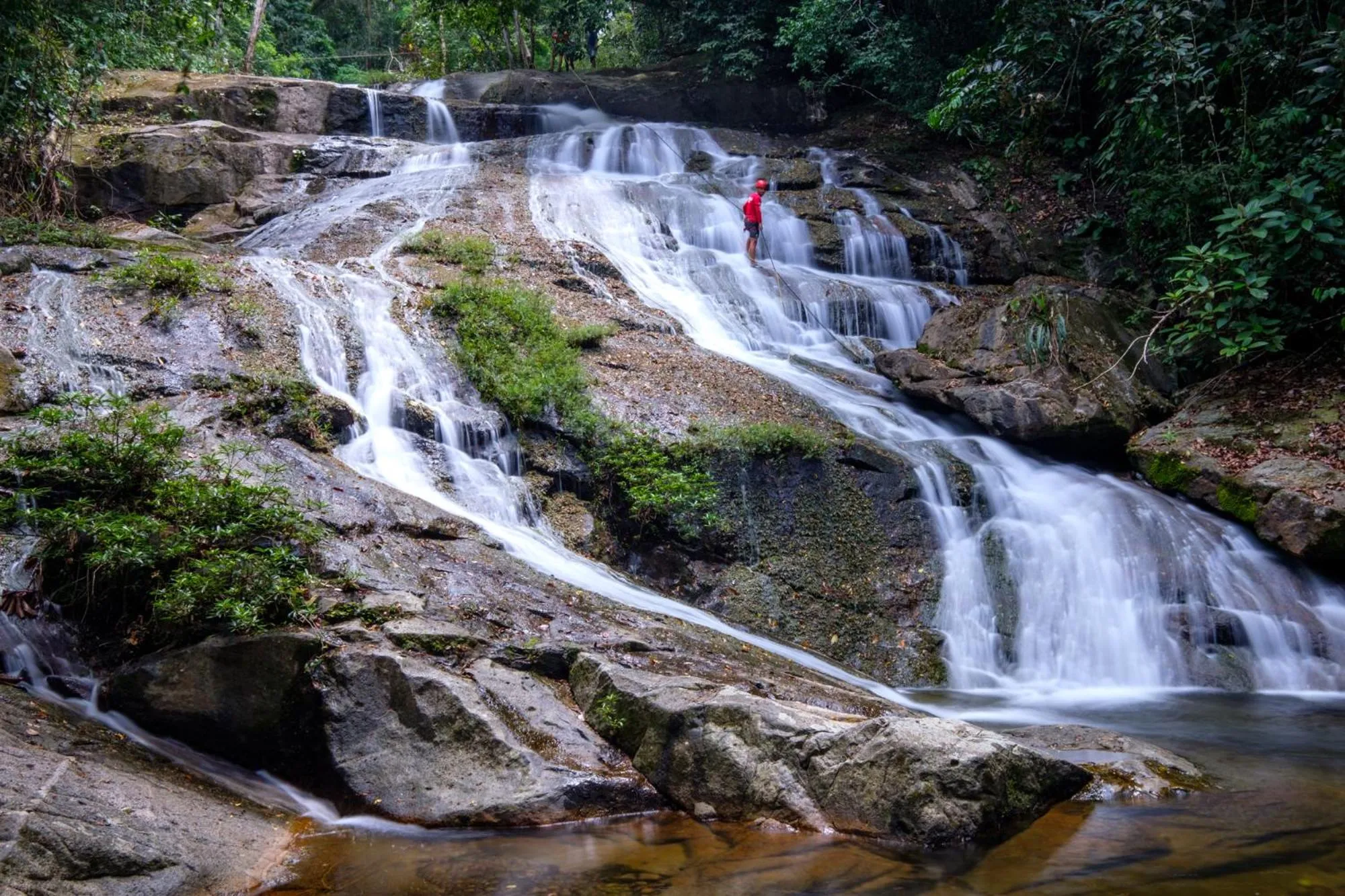 Activities in Bocawina Rainforest Resort