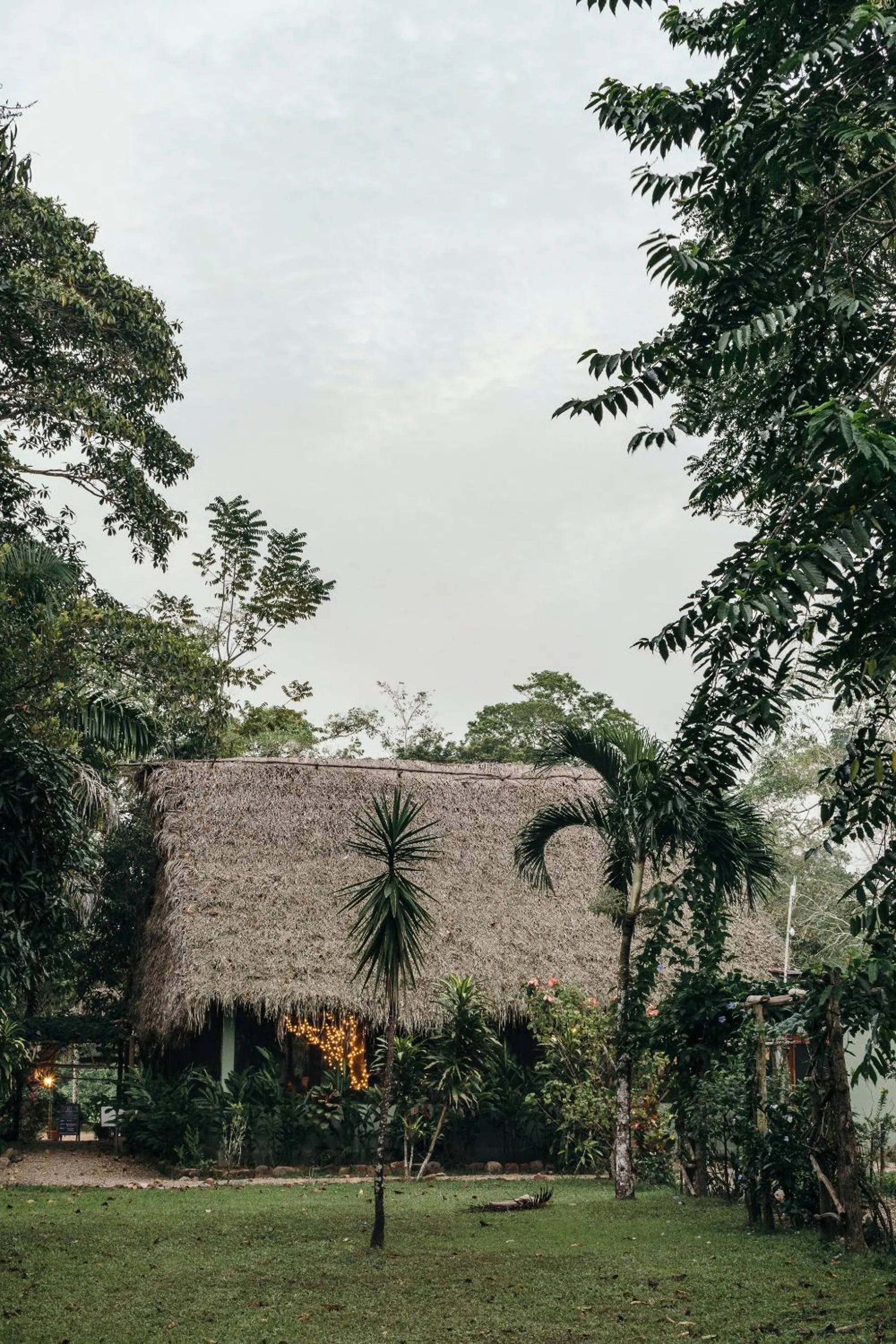 Property building in Bocawina Rainforest Resort