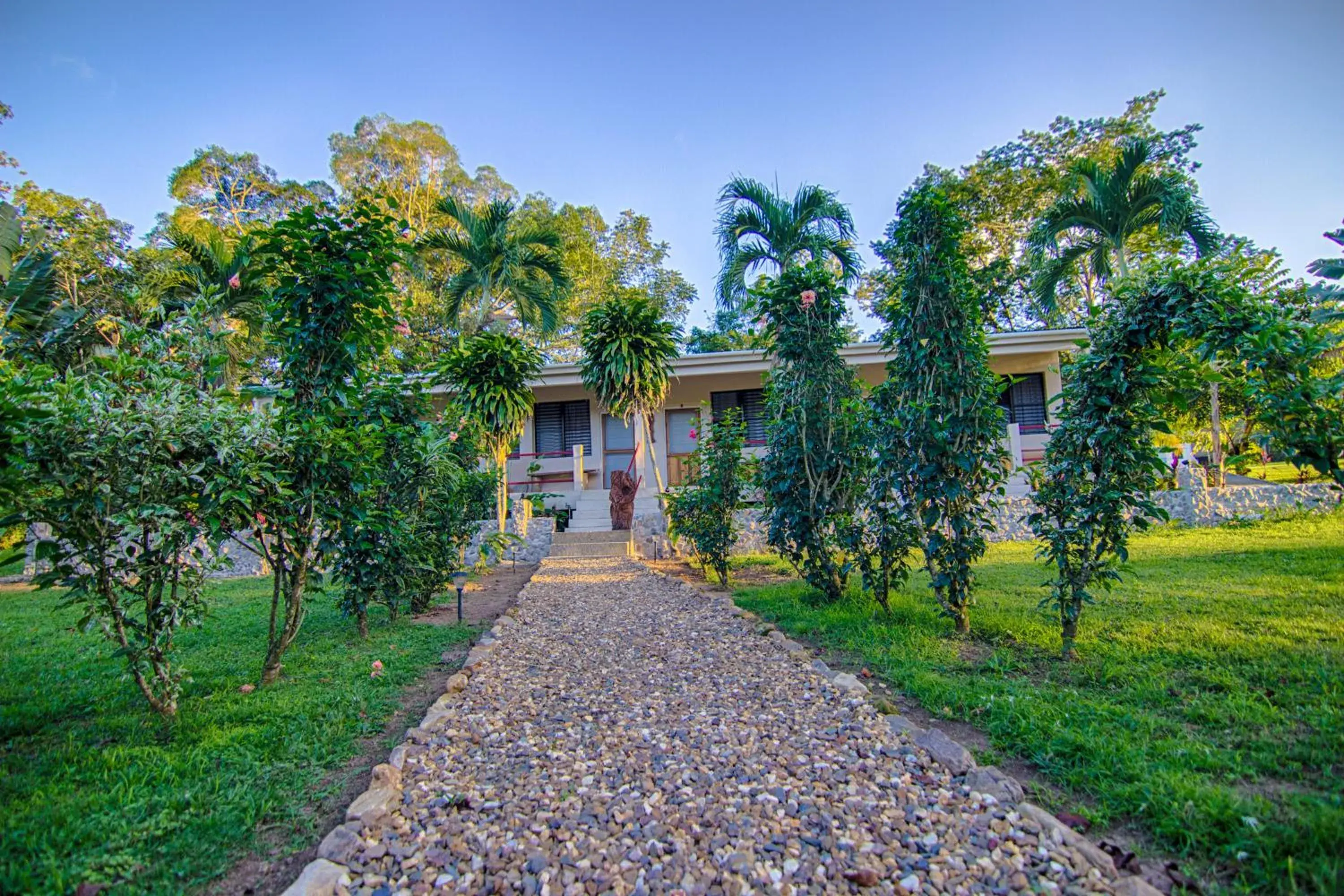Double Room in Bocawina Rainforest Resort Double Room in Bocawina Rainforest Resort