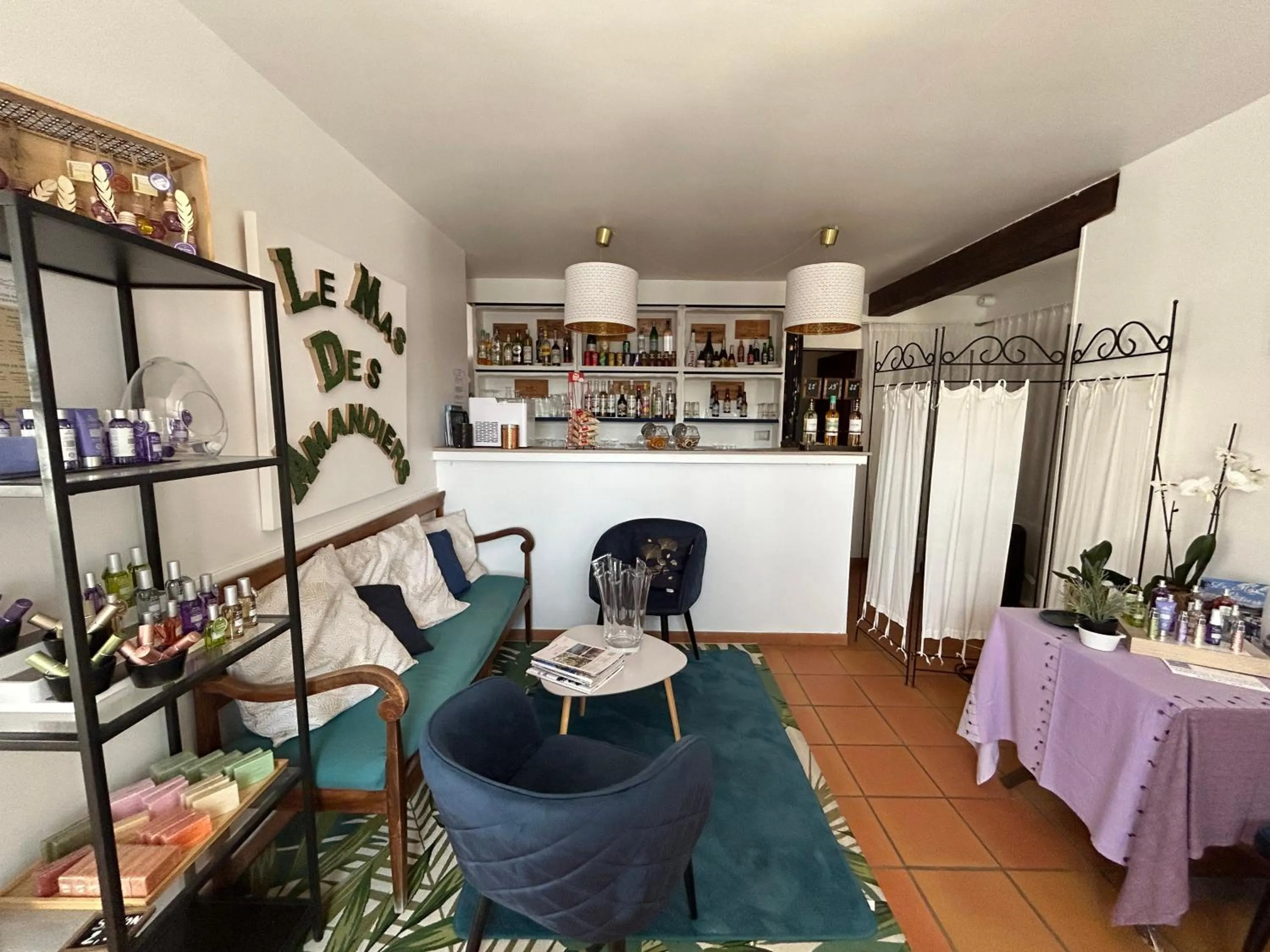 Lounge or bar in Hôtel Le Mas Des Amandiers