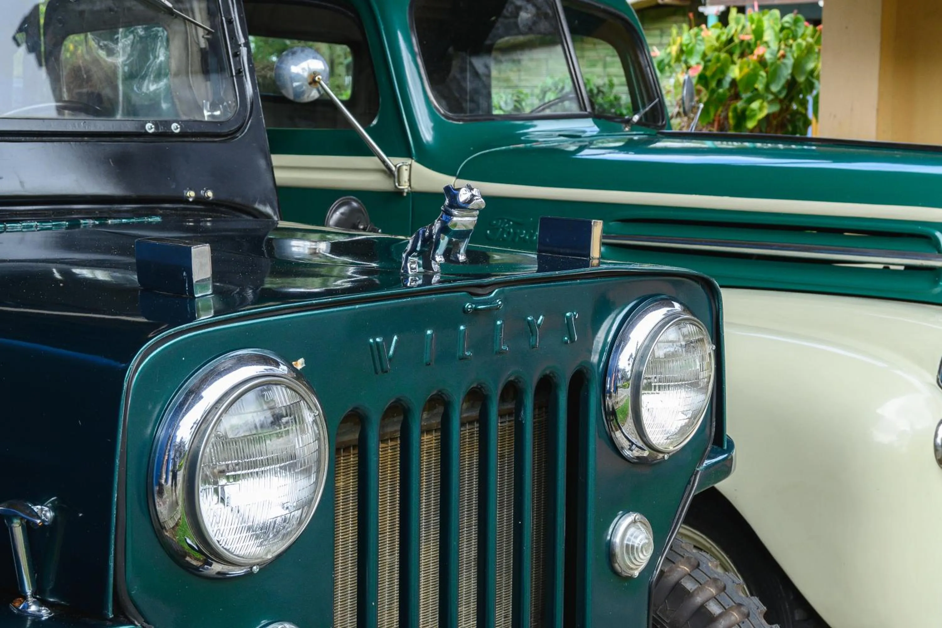 Garden in El Edén Country hotel y Club Residencial