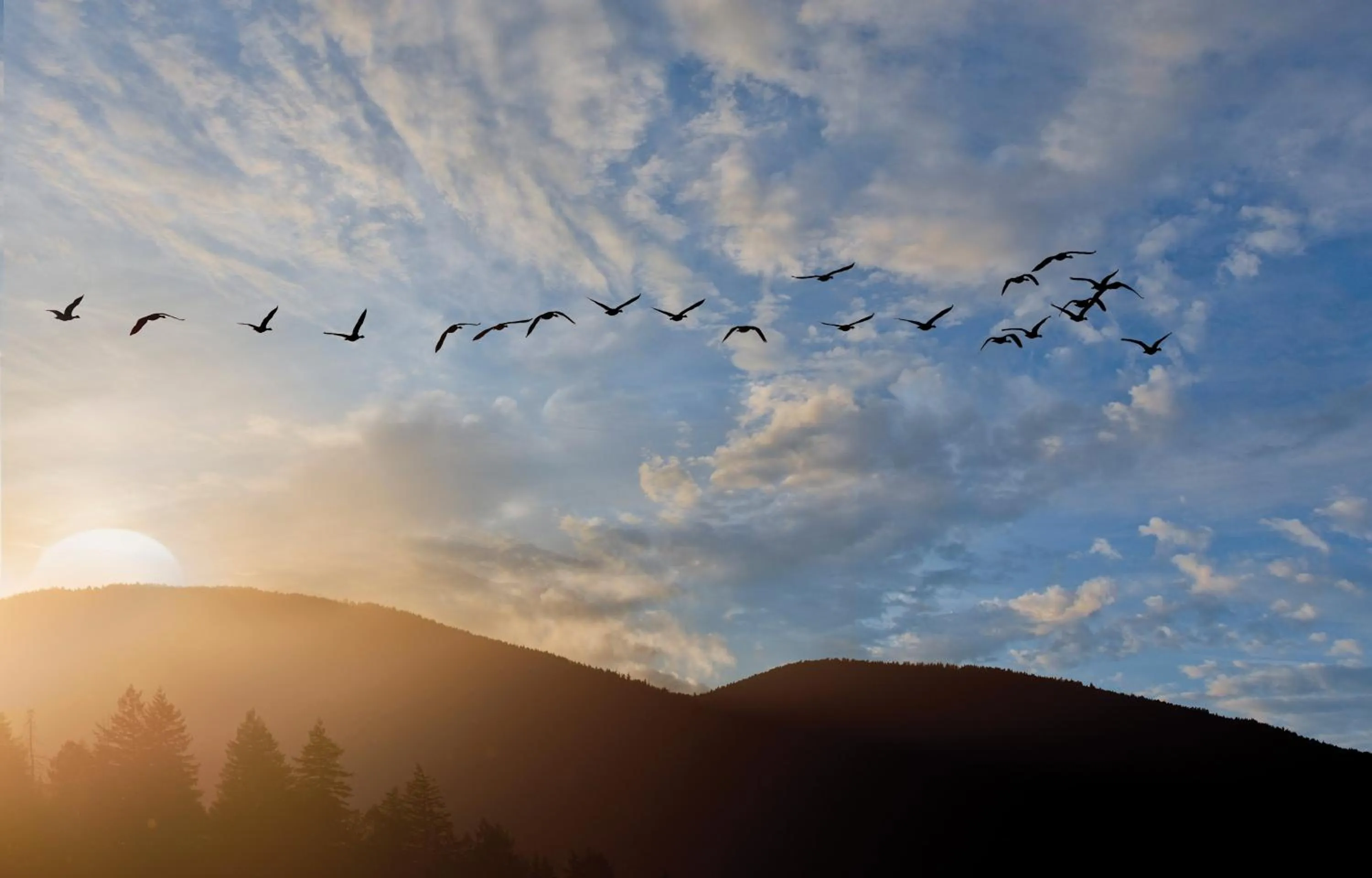 Bird's eye view in WorldMark Running Y