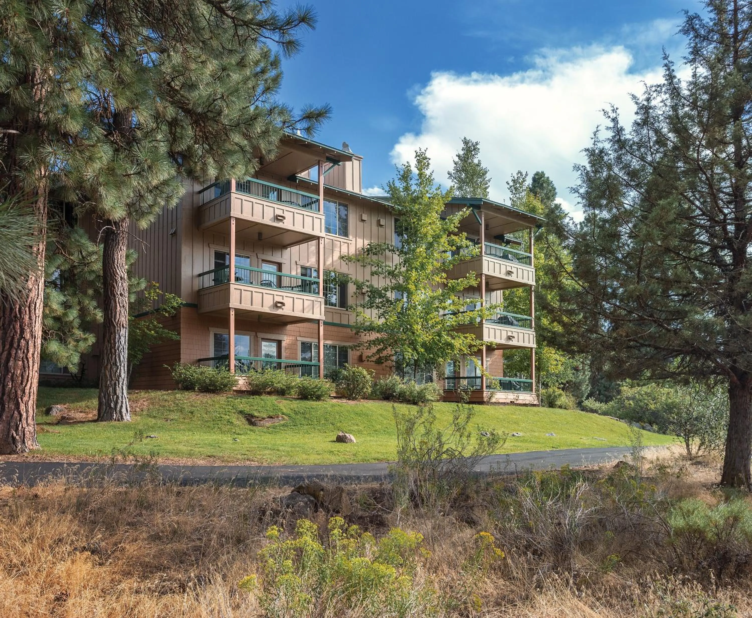 Decorative detail in WorldMark Running Y