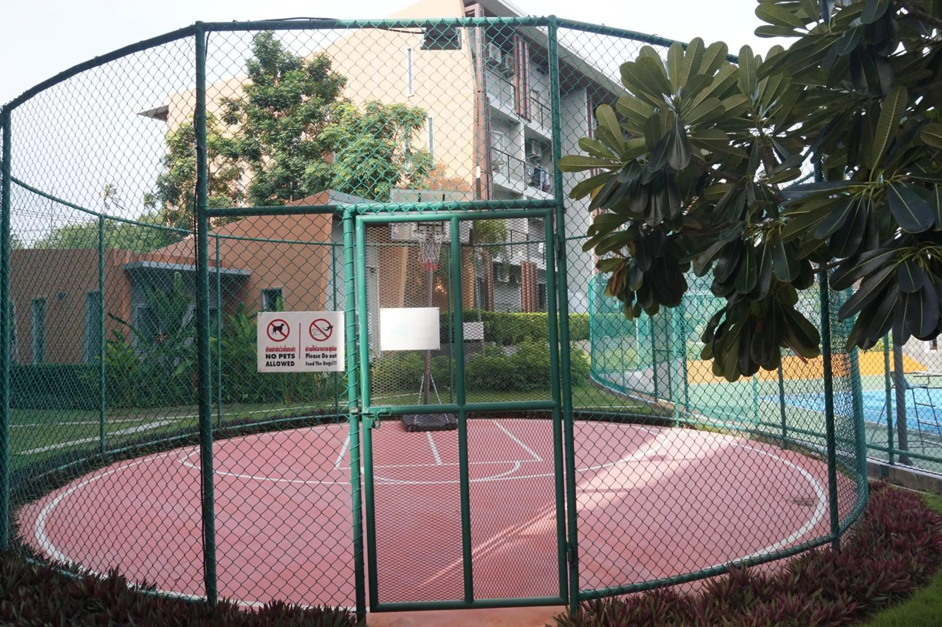 Sports in Replay Residences Samui