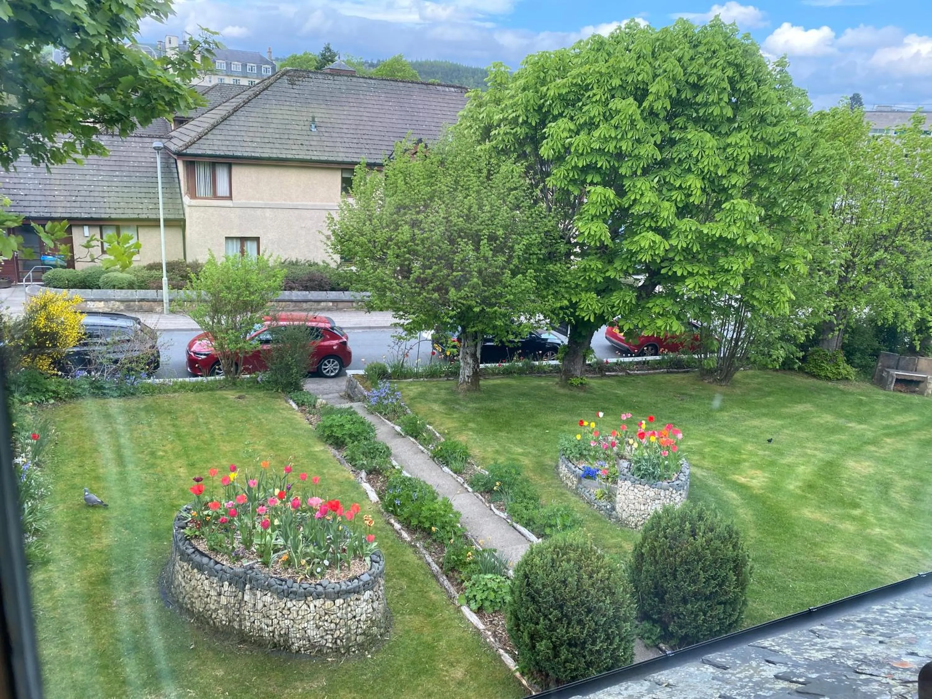 Day in Garden Park Guest House