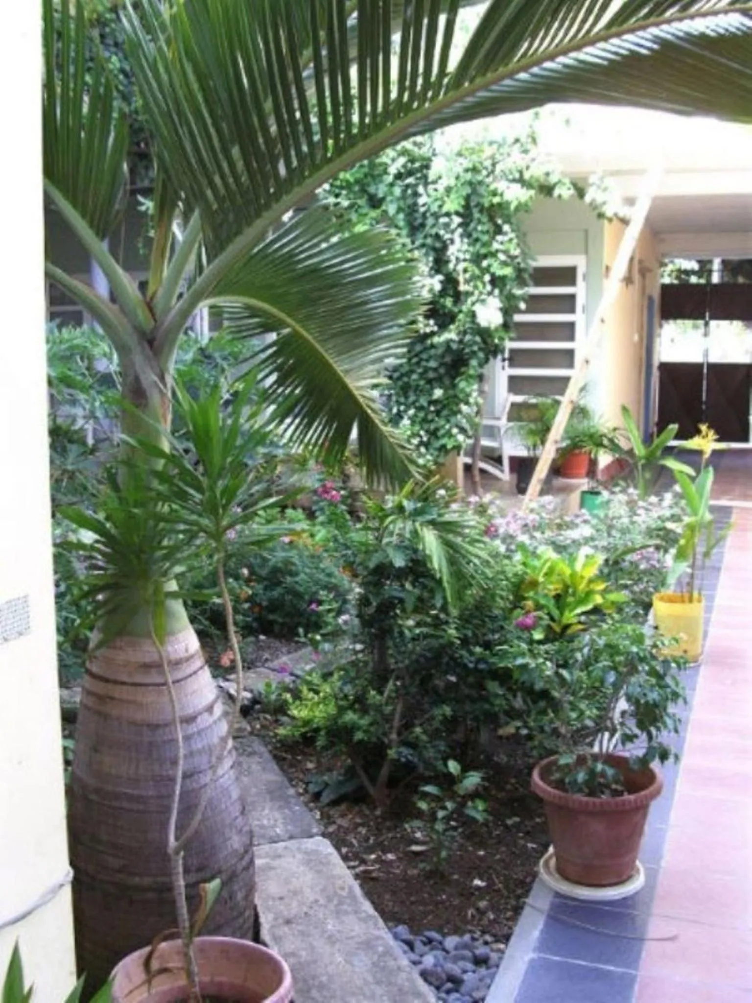 Garden in Auberge Le Saladier