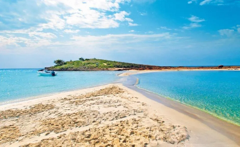 Margarita Napa Apartments