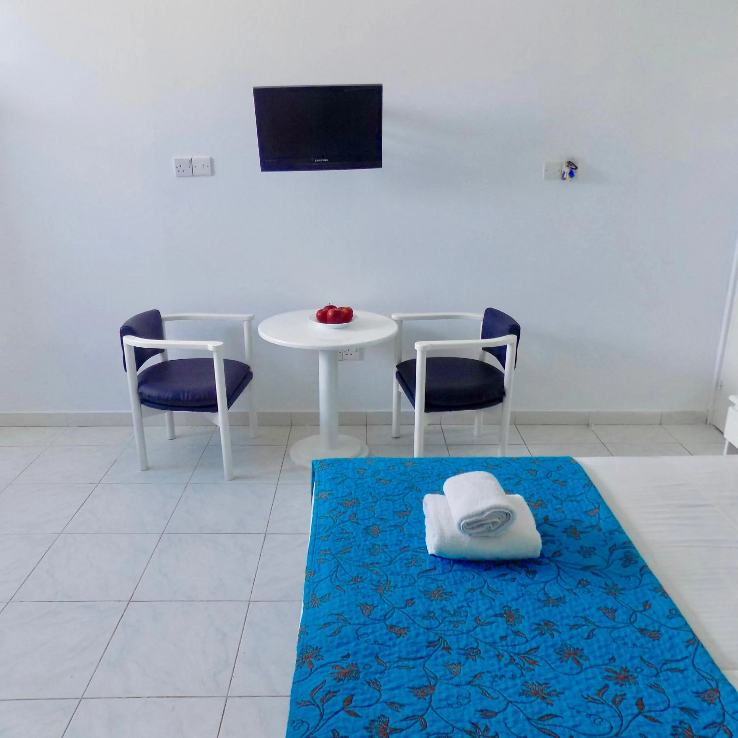 TV and multimedia in Margarita Napa Apartments