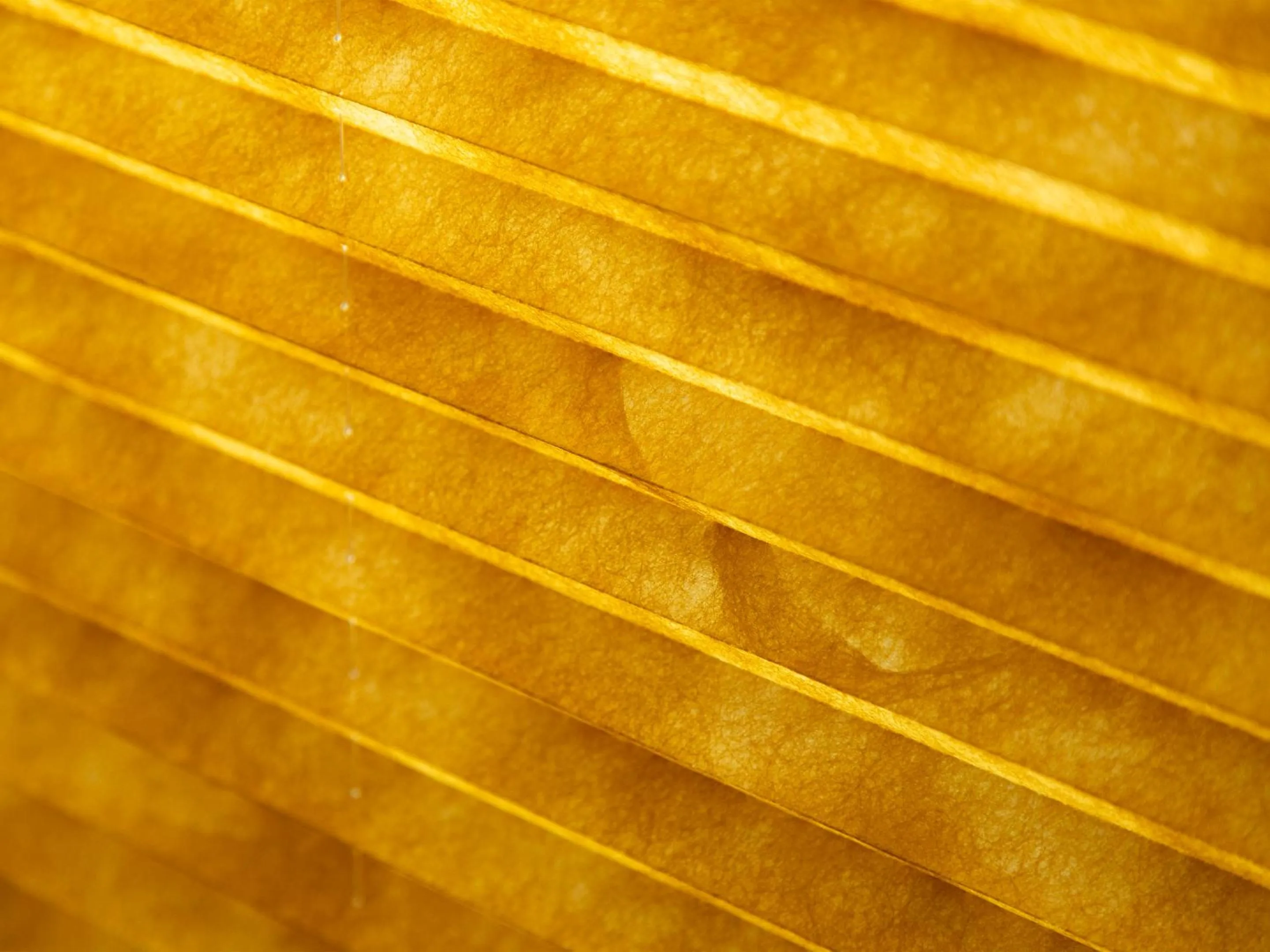 Area and facilities in Family Inn Kei 慶