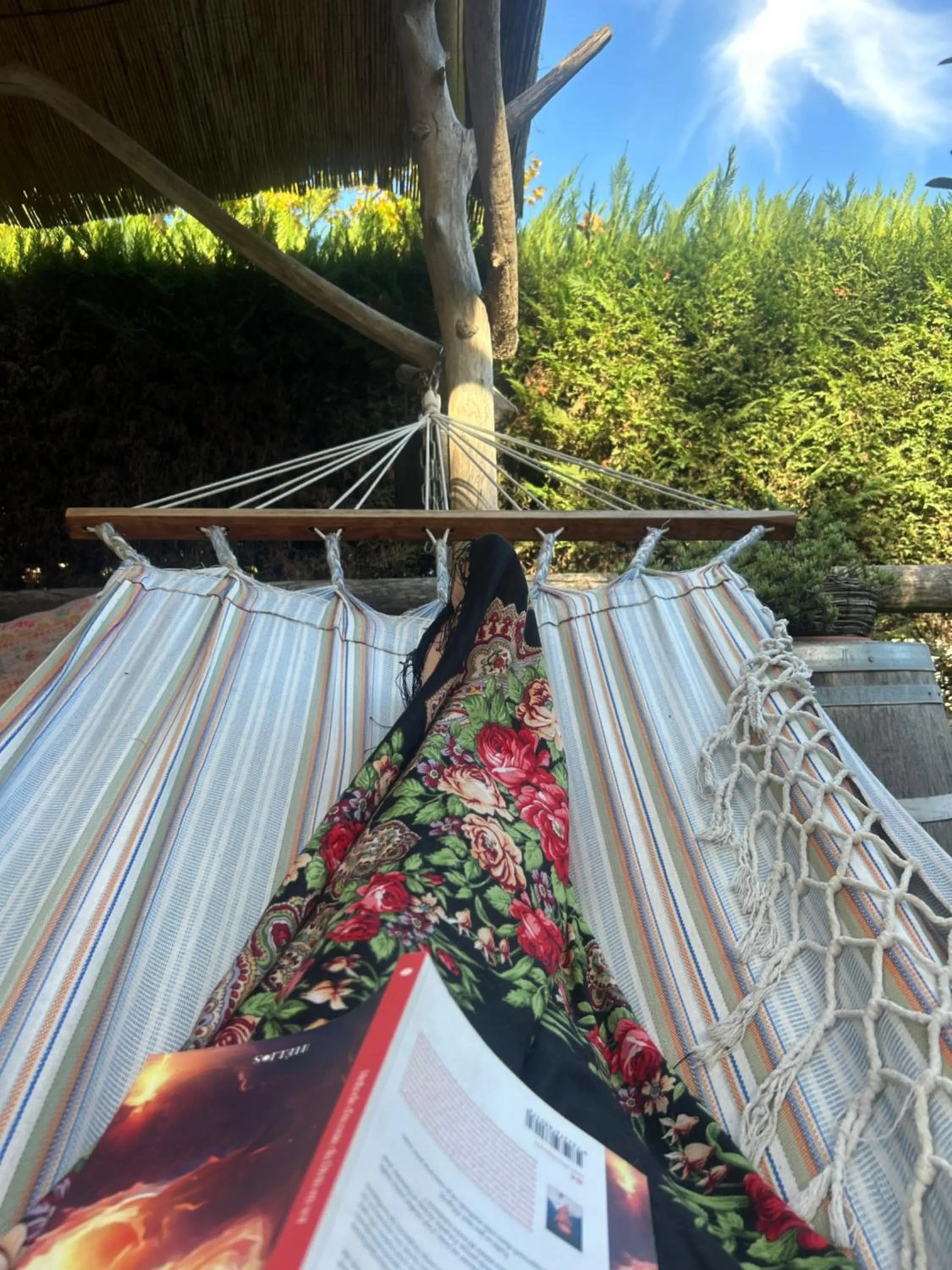 Property building in L effet mer