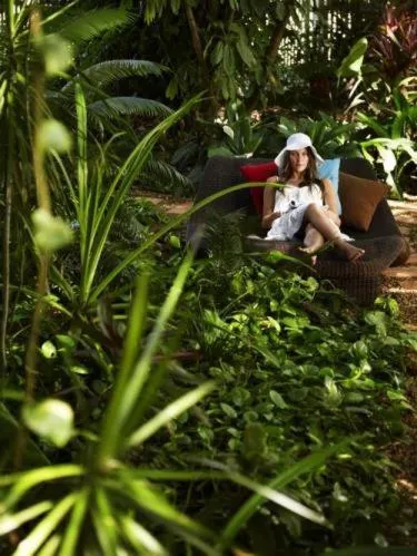 Garden in Pinctada McAlpine House