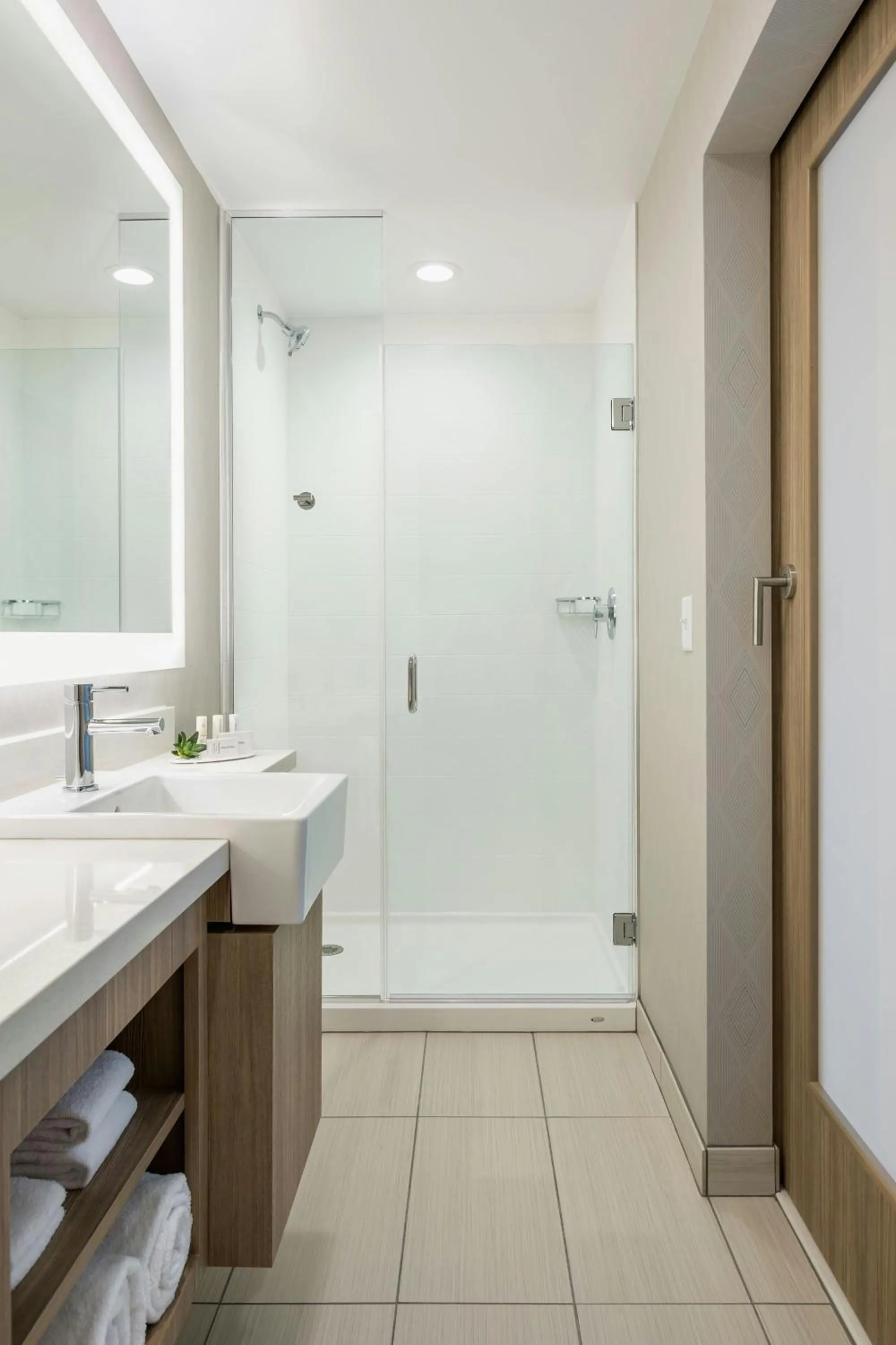 Bathroom in SpringHill Suites Madison