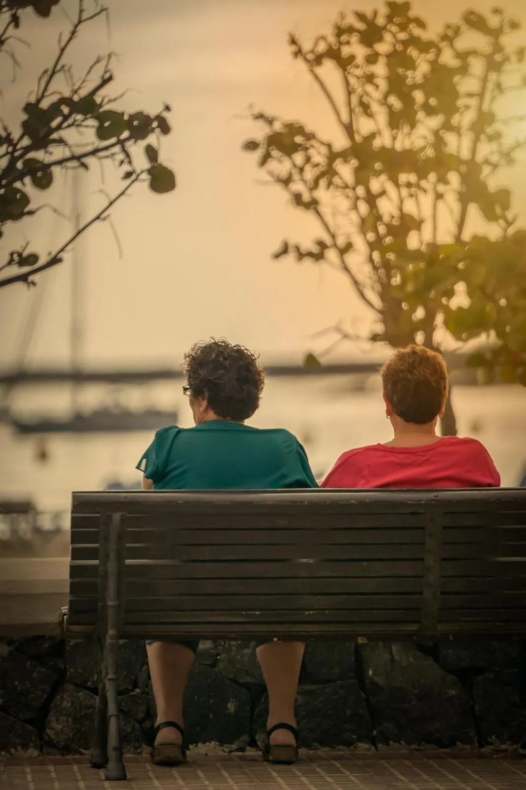 Staff in Comodoro Estudio Vista Mar Explotaciones Ravel